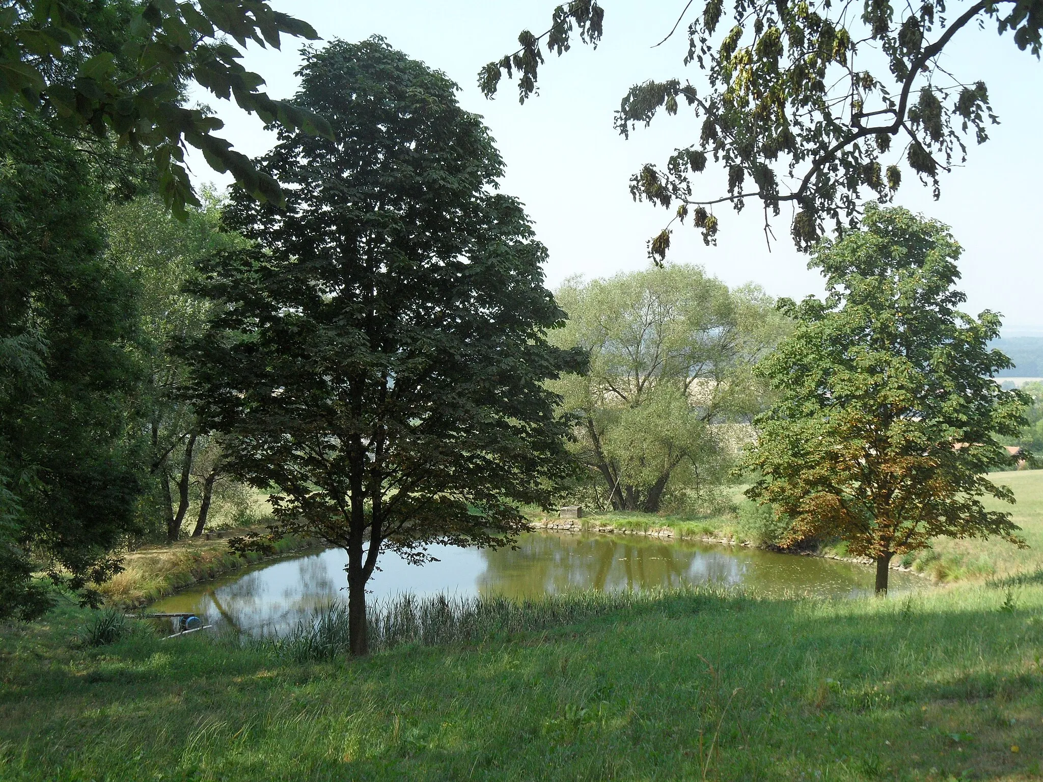 Photo showing: Podhořice F. Small Pond in the Village. Havlíčkův Brod District, the Czech Republic.