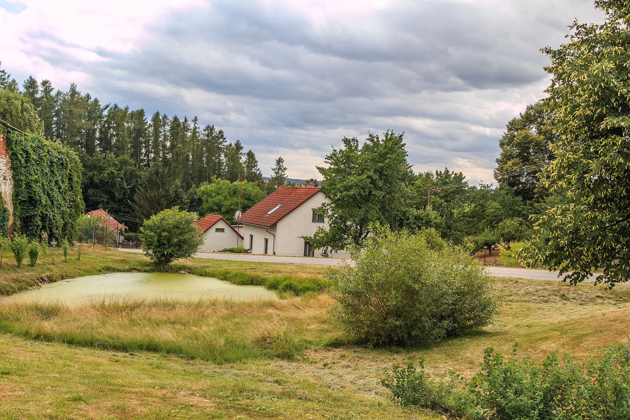 Photo showing: Heřmanice návesní rybníček

This file was created as a part of the photographic program of Wikimedia Czech Republic. Project: Foto českých obcí The program supports Wikimedia Commons photographers in the Czech Republic.