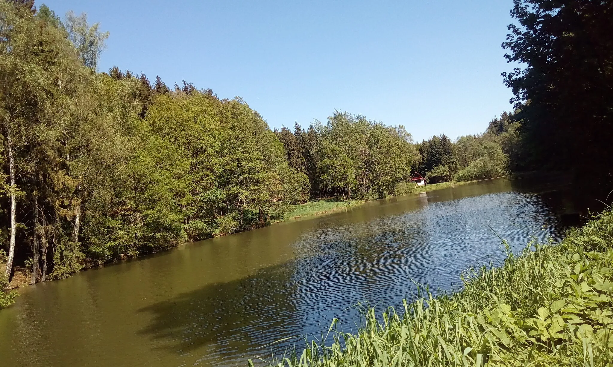 Photo showing: Autor fotografie Jiří Zelenka. Rýdlovský rybník. Herlify část města Havlíčkův Brod. Kraj Vysočina. Czech Republik.