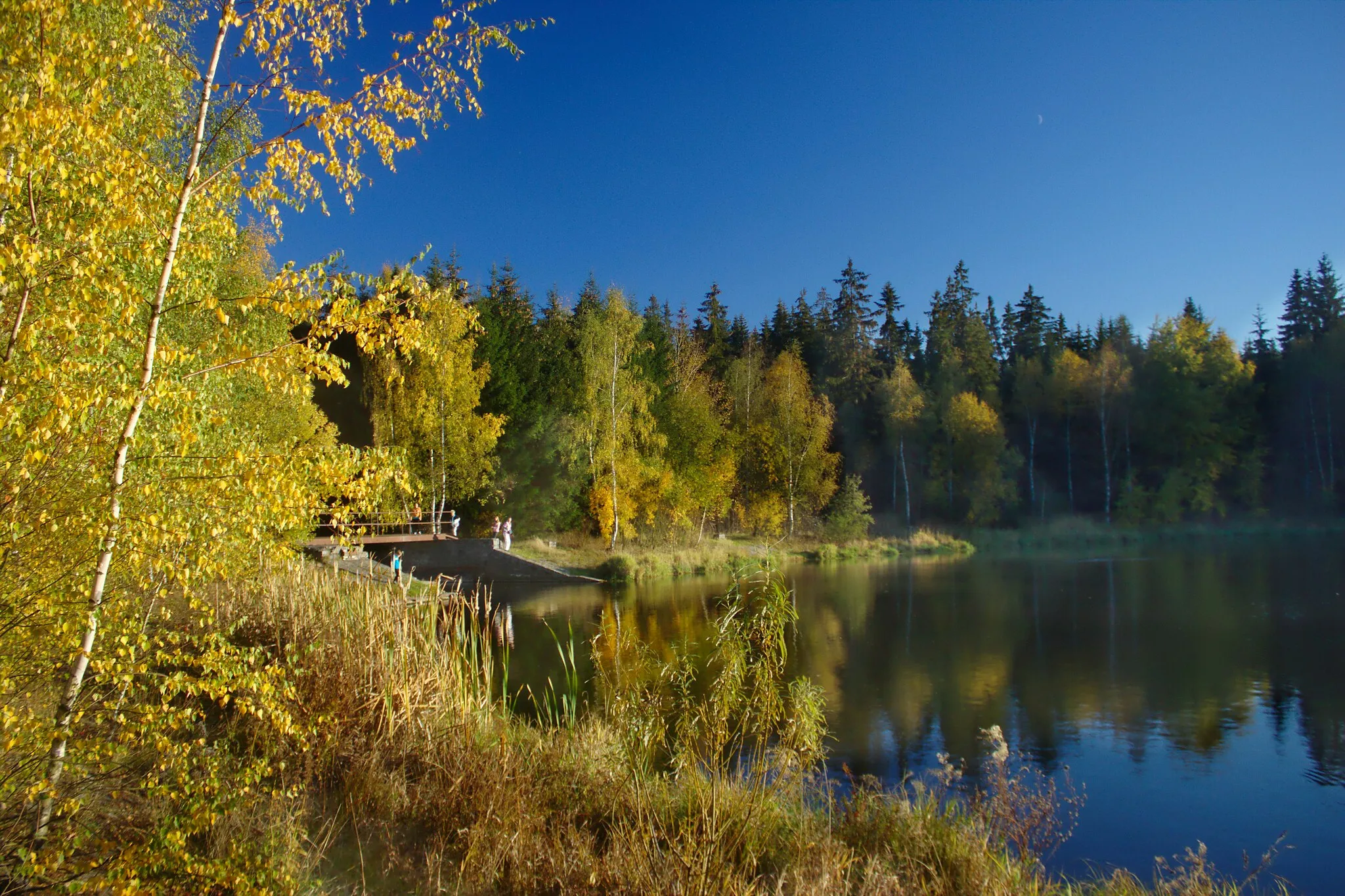 Photo showing: Břehy rybníka na říčce Svratka v obci Svratka, kraj Vysočina