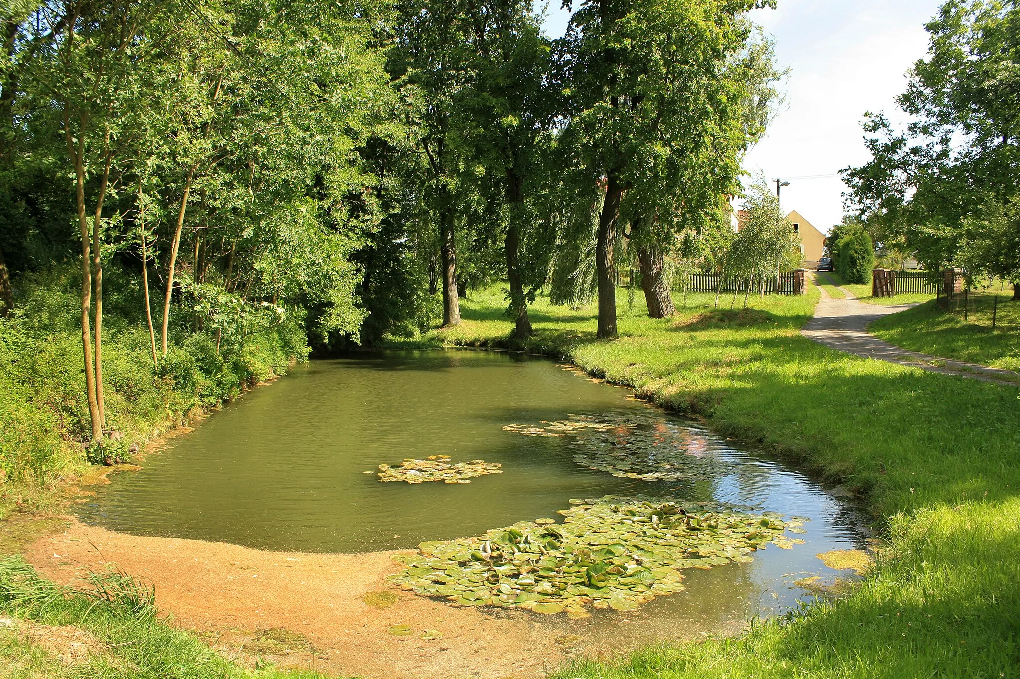 Photo showing: Common pond in Lažany, part of Morašice municipality, Czech Republic