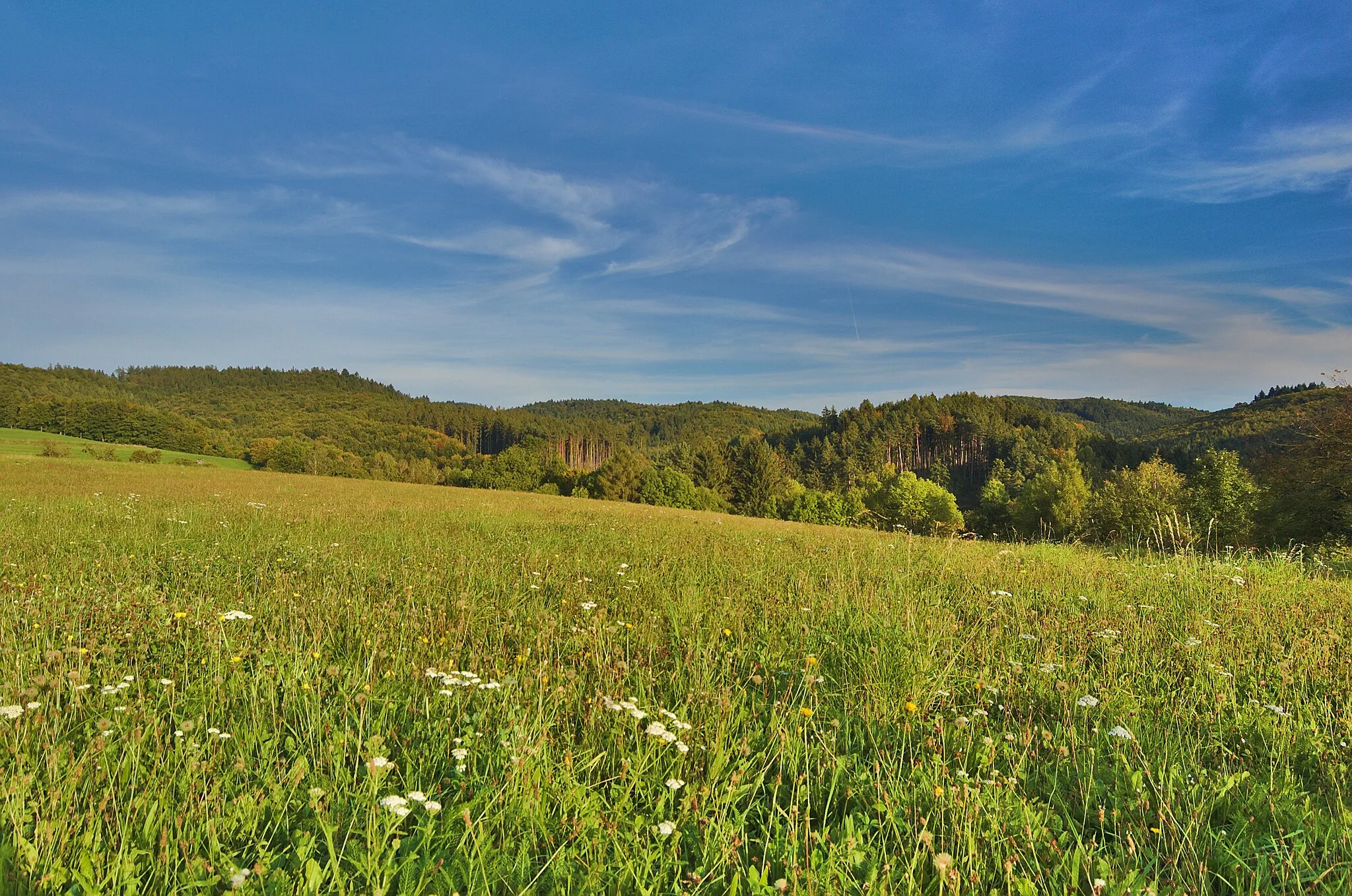 Photo showing: Přírodní park Bohdalov-Hartinkov, okres Svitavy