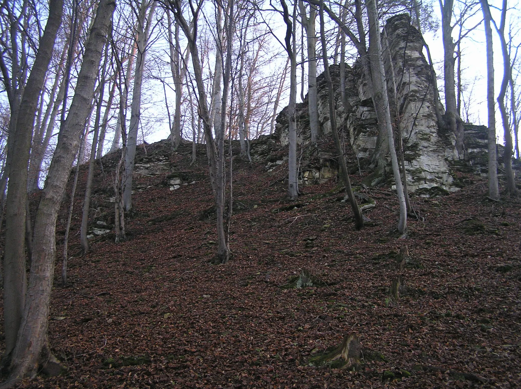 Photo showing: The castle Hrádníky, Czech Republic