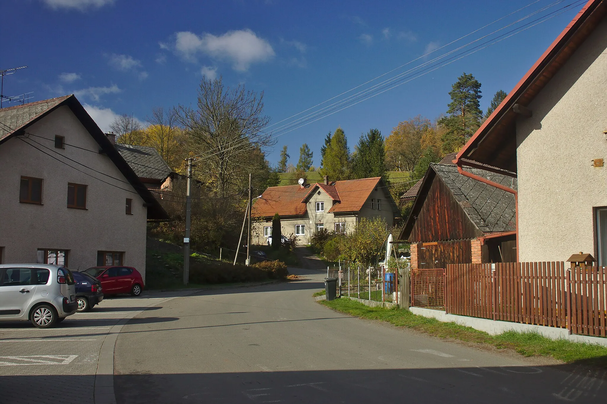 Photo showing: Domy ve vesnici Červená u Letohradu
