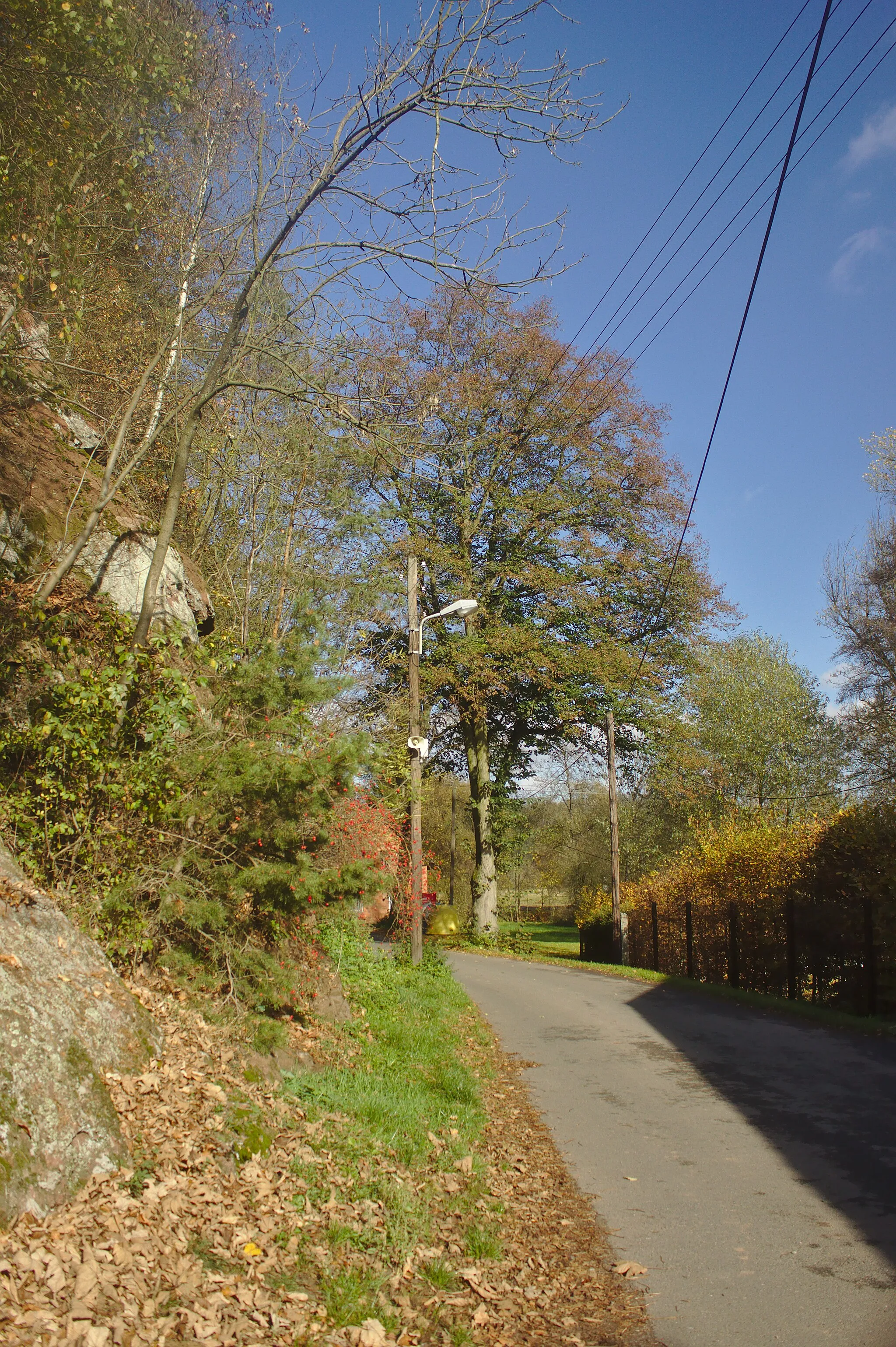 Photo showing: Silnice V ve vesnici Červená u Letohradu