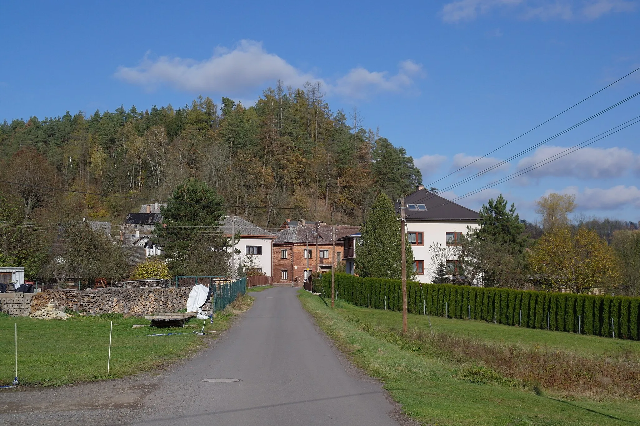 Photo showing: Domy ve vesnici Červená u Letohradu, Pardubický kraj