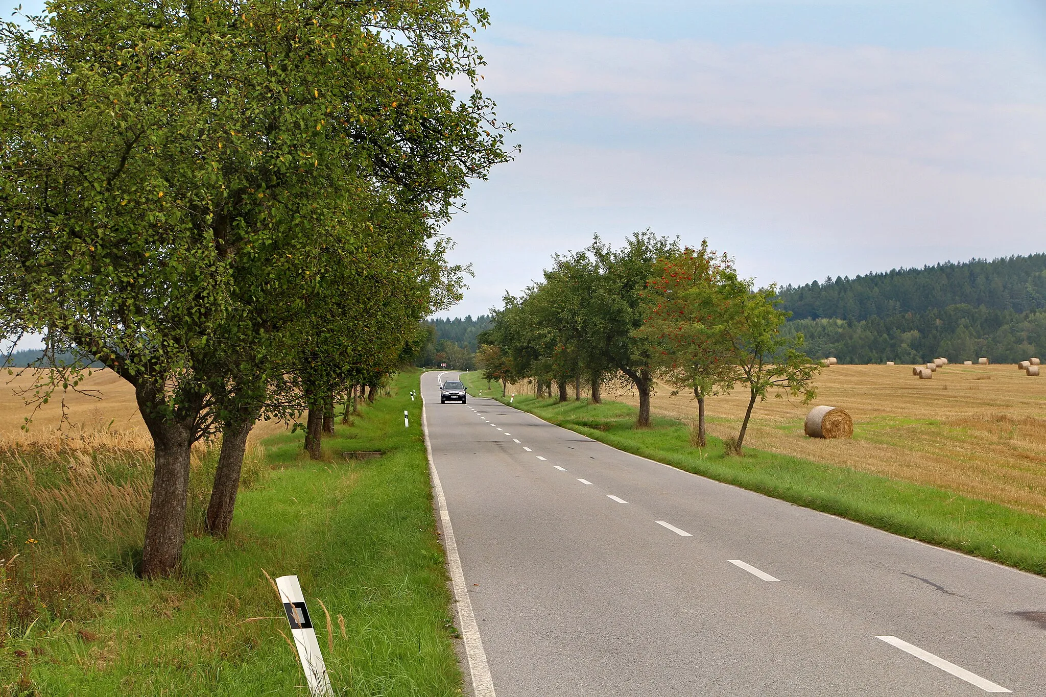 Photo showing: Road No 311 by Lanškroun, Czech Republic.