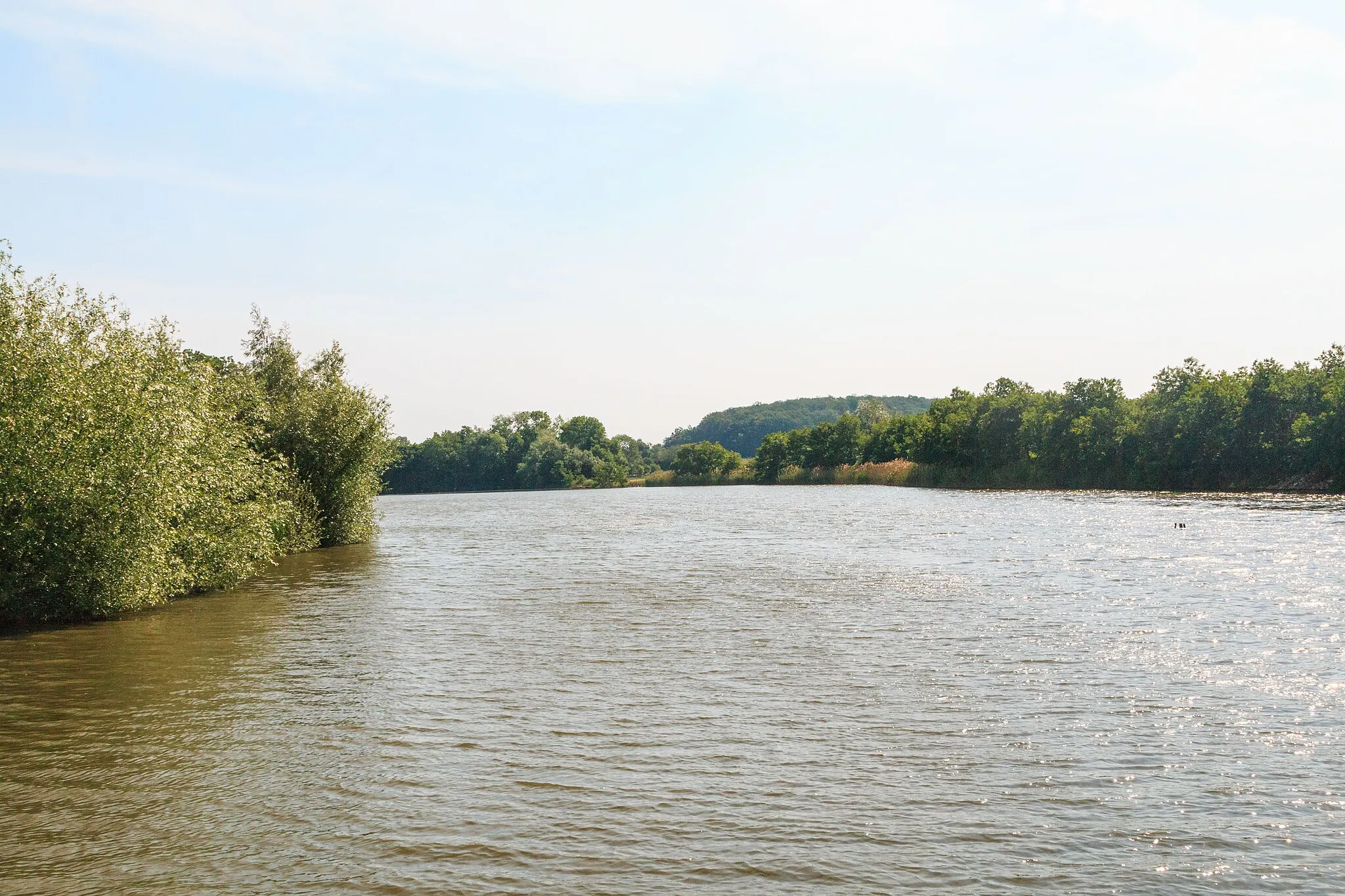 Photo showing: Rybník Šmejkal u Vysokého Veselí