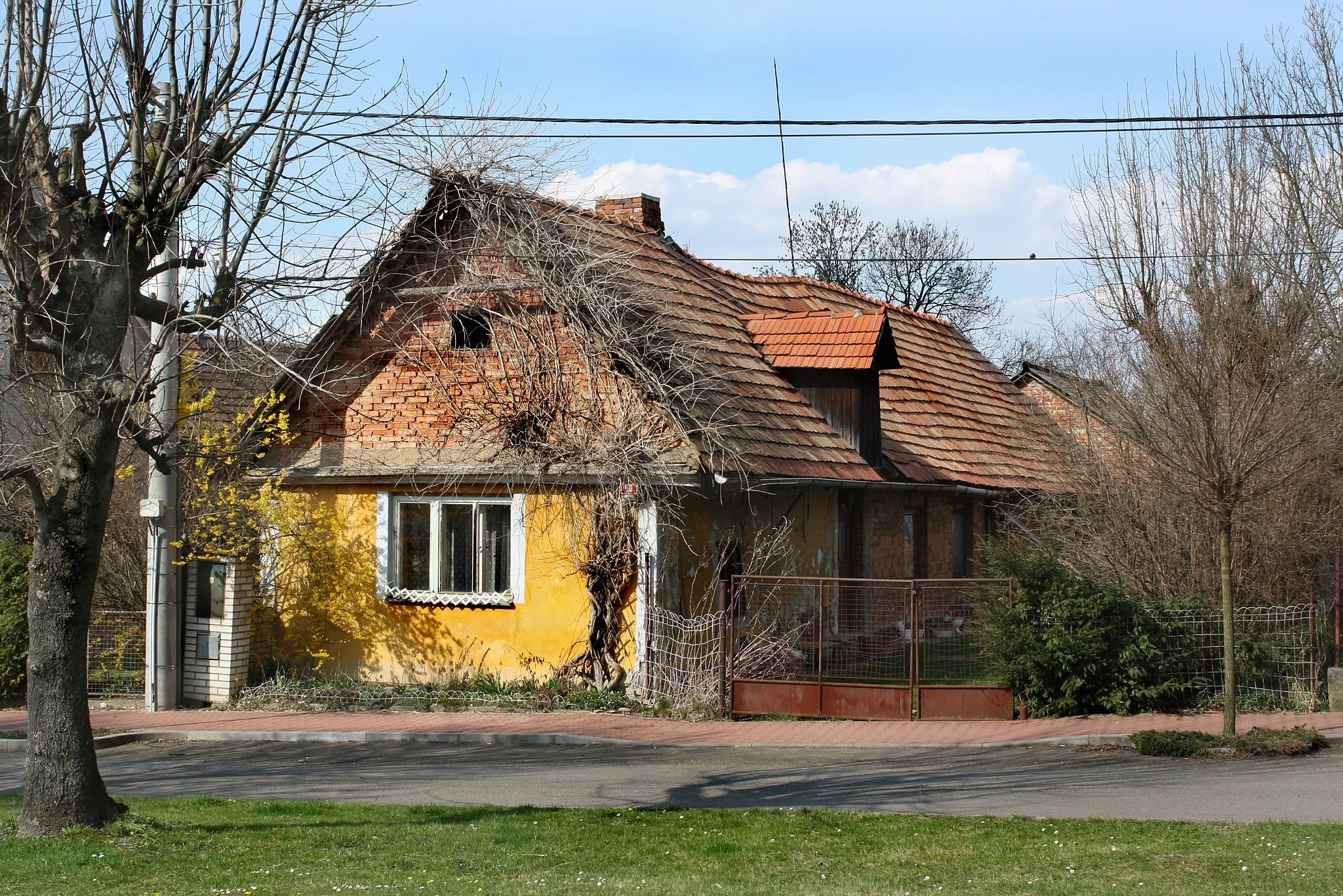 Photo showing: Small house in Běchary village, Czech Republic