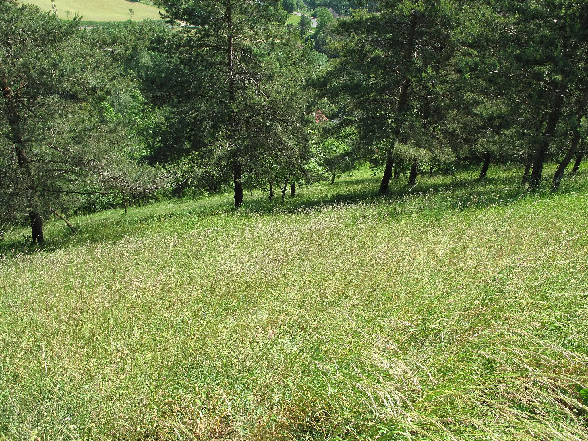 Photo showing: Bluff garden in Volavec village, Semily District, Czech Republic.