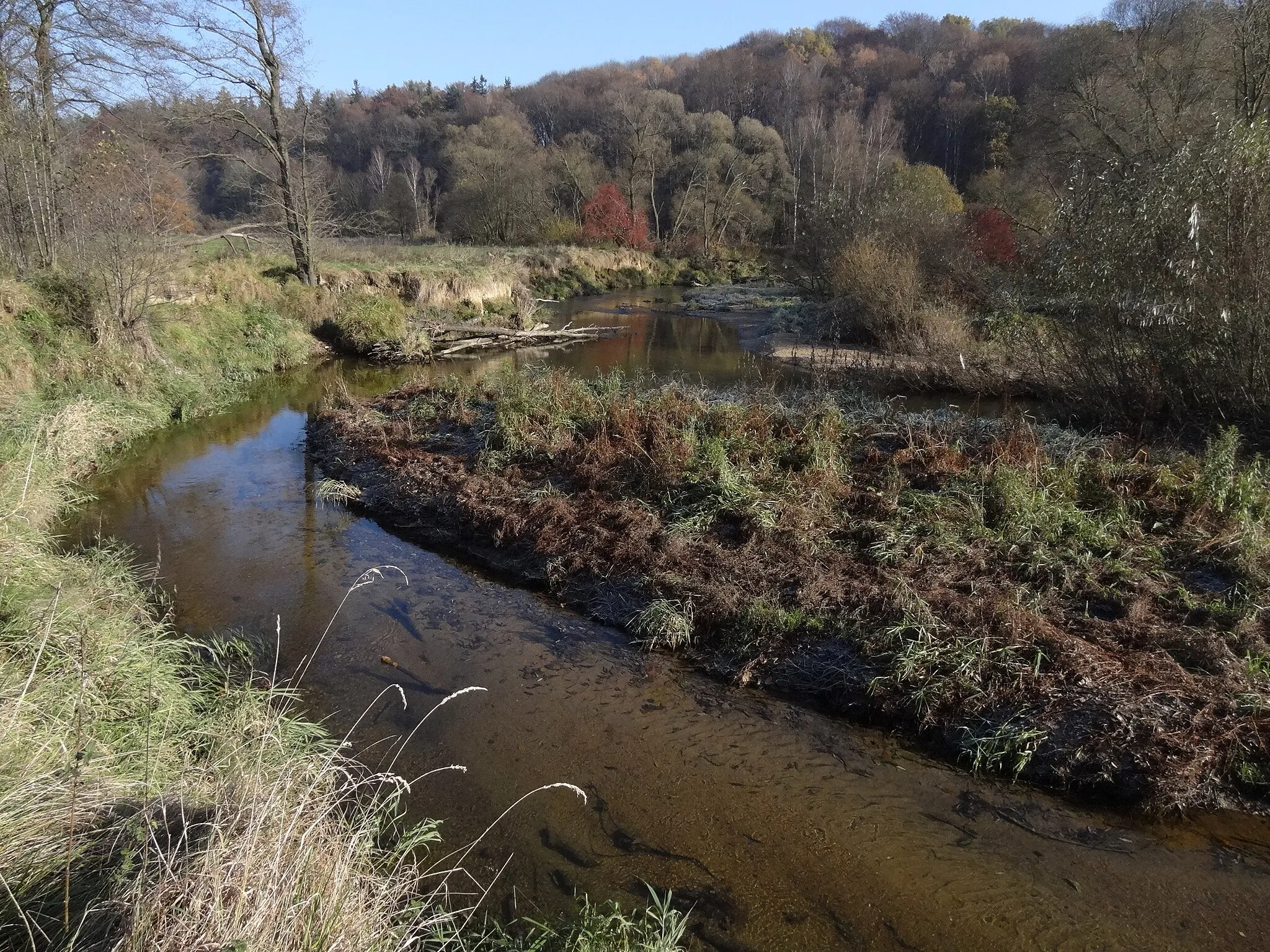 Photo showing: PR Meandry Smědé chrání přirozený charakter říčního koryta se společenstvy rostlin a živočichů mokřadů, říční nivy a svahového lesa.