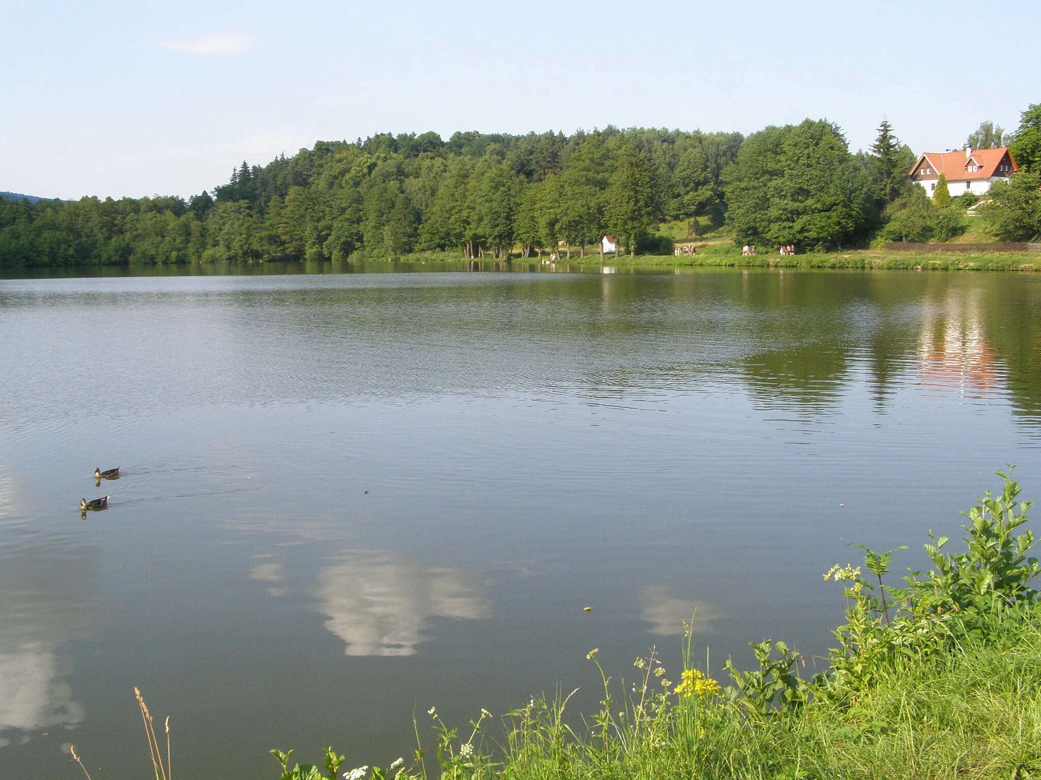 Photo showing: Jablonné v Podještědí, Markvartice, Markvartický rybník