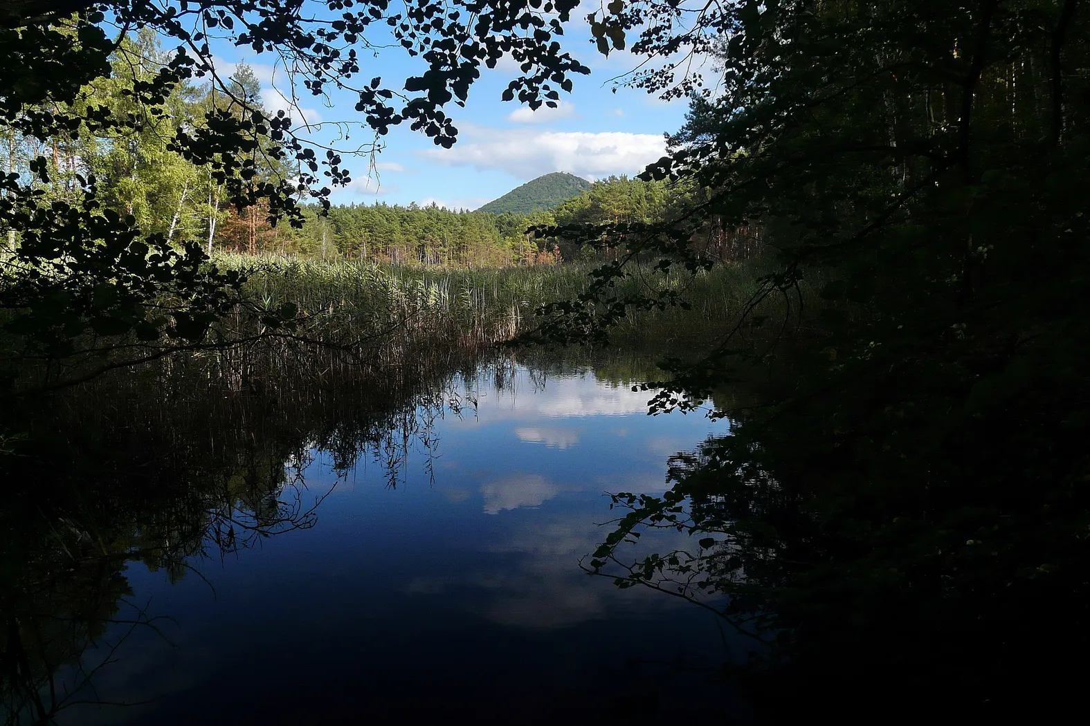 Photo showing: Mariánský rybník a Malý Bezděz