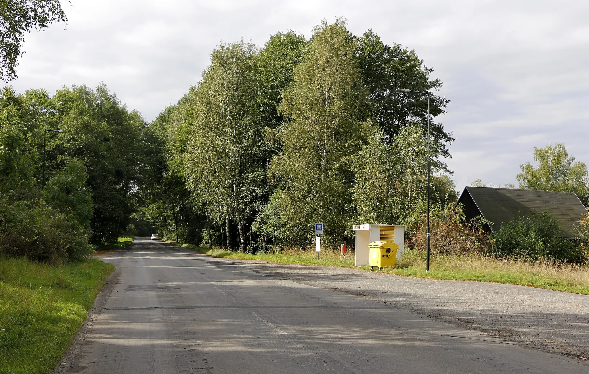 Photo showing: Road No 270 at Břehyně, part of Doksy, Czech Republic.