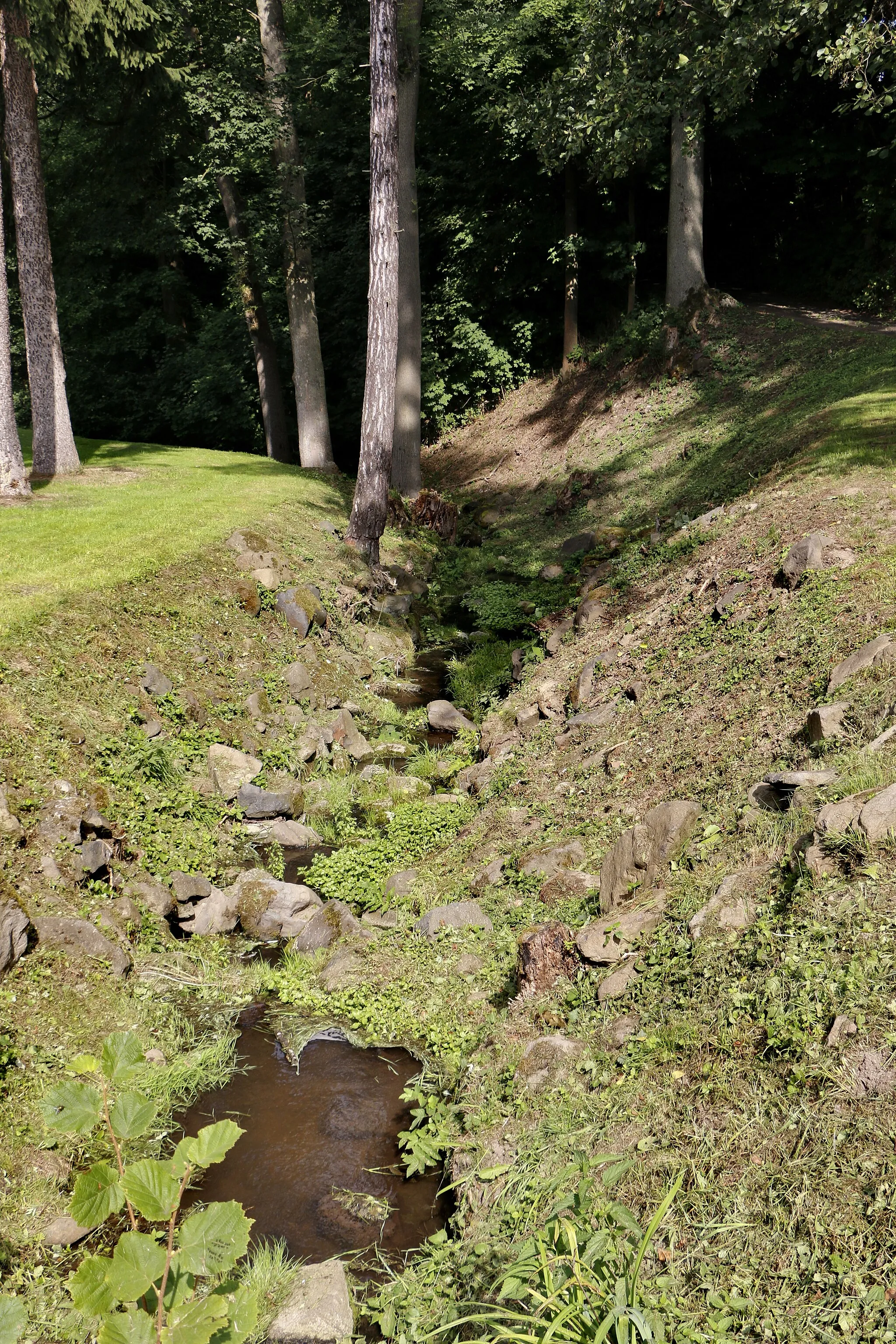 Photo showing: Dolský creek at Mlatce, part of Františkov nad Ploučnicí, Czech Republic.