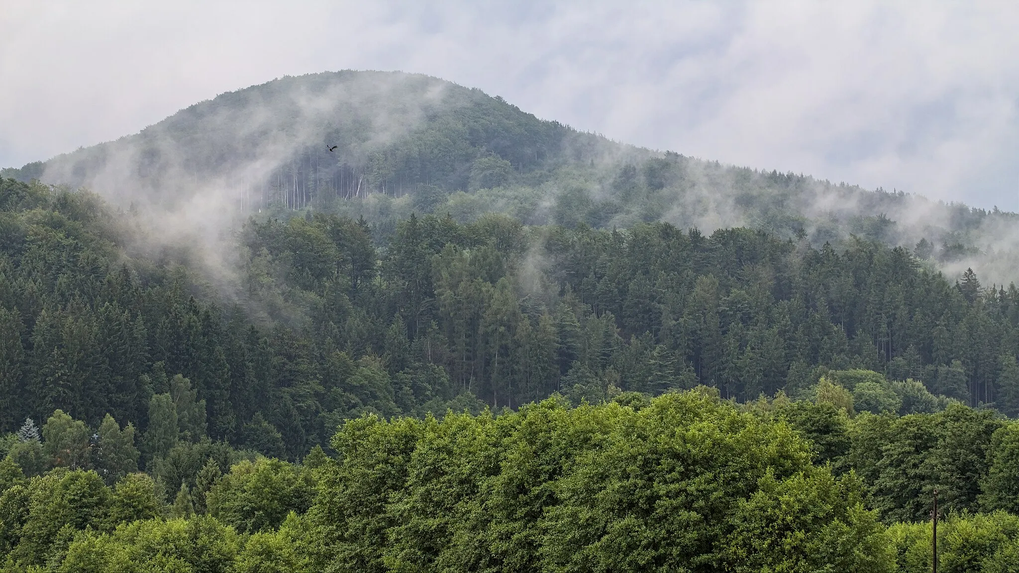 Photo showing: Pohled od hřbitova v Horní Chřibské na Plešivec (597 m).