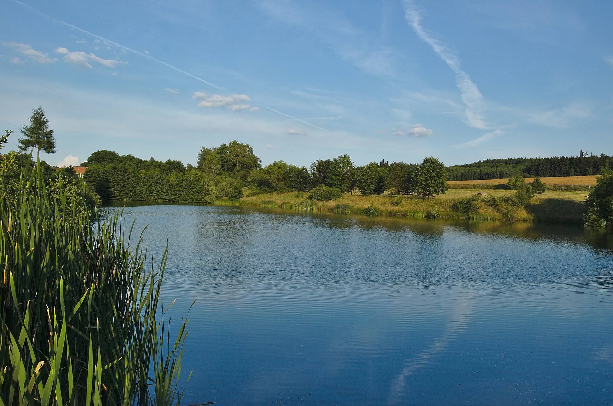 Photo showing: Rybník, Pohora, Horní Štěpánov, okres Prostějov