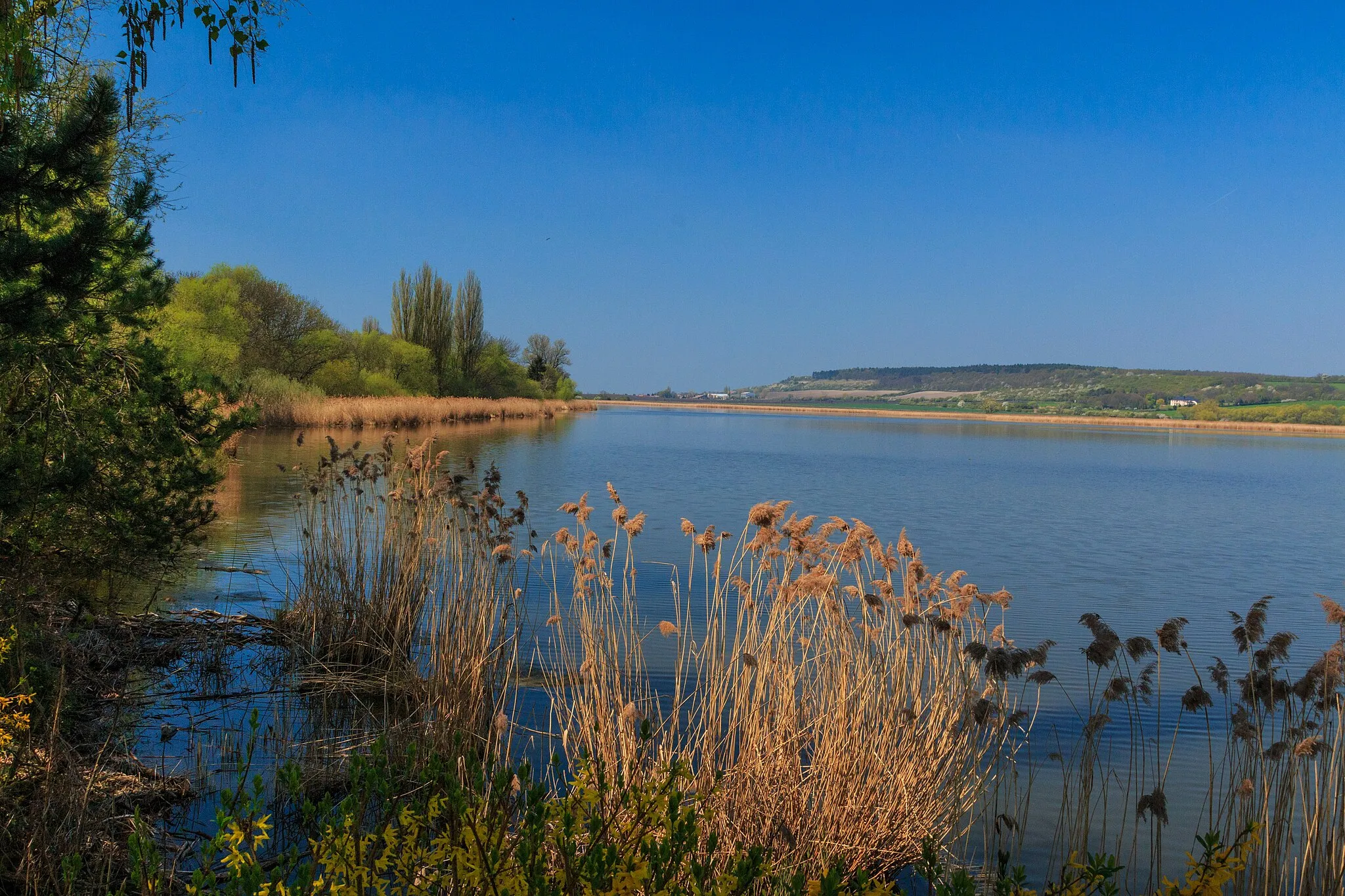 Photo showing: Žehuňský rybník