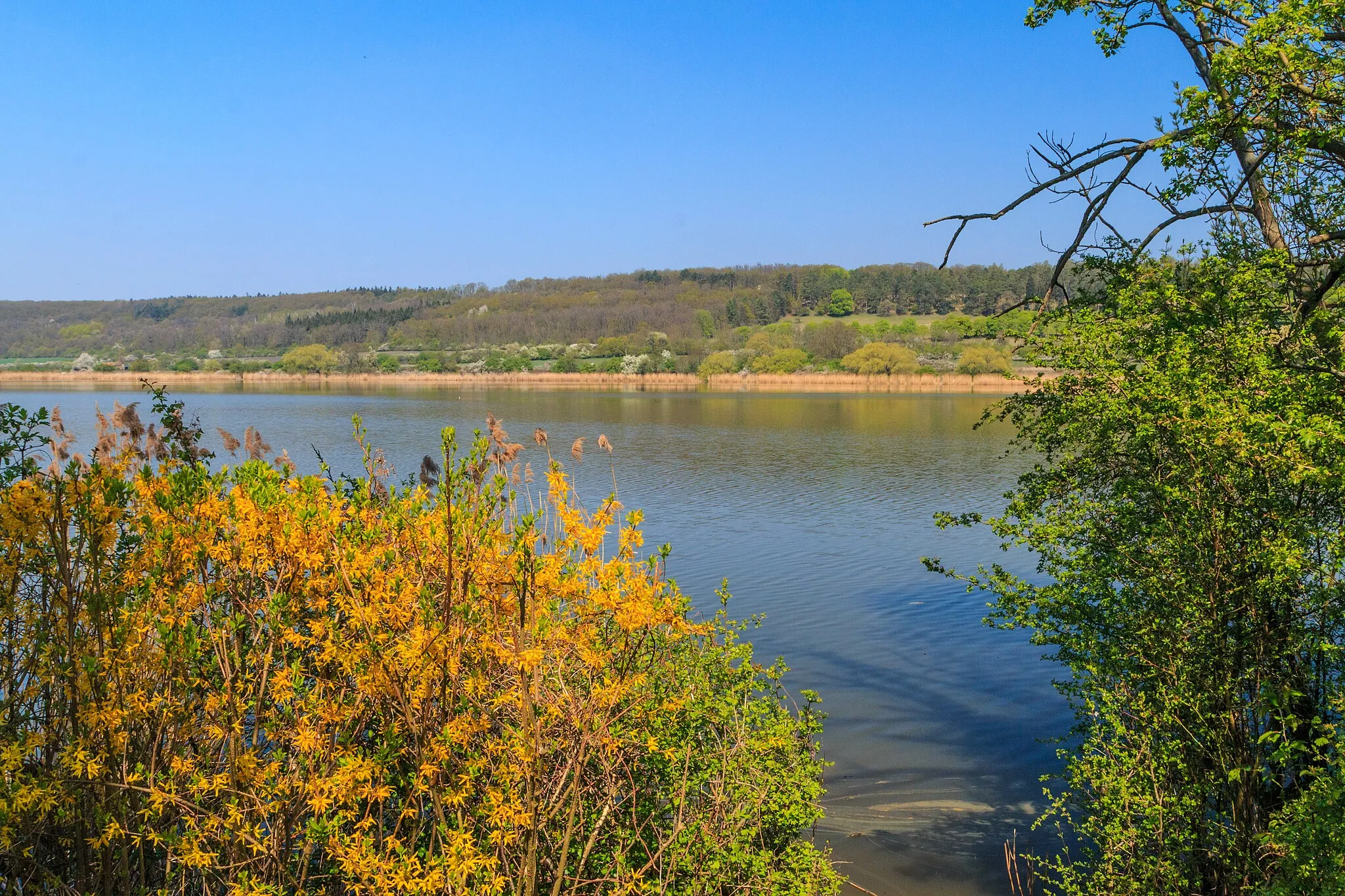 Photo showing: Žehuňský rybník