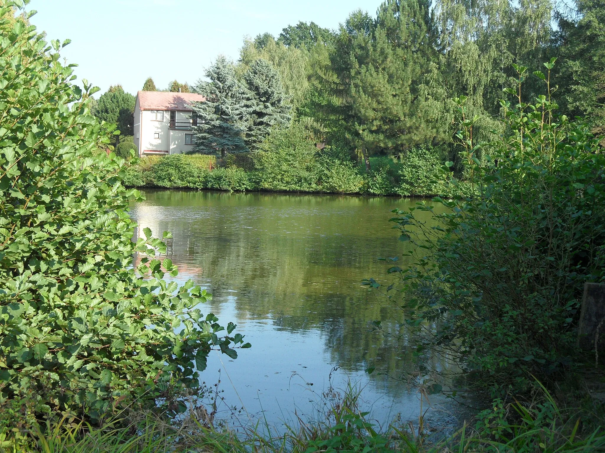 Photo showing: Schořov H. Small Pond in the Village, Kutná Hora District, the Czech Republic.