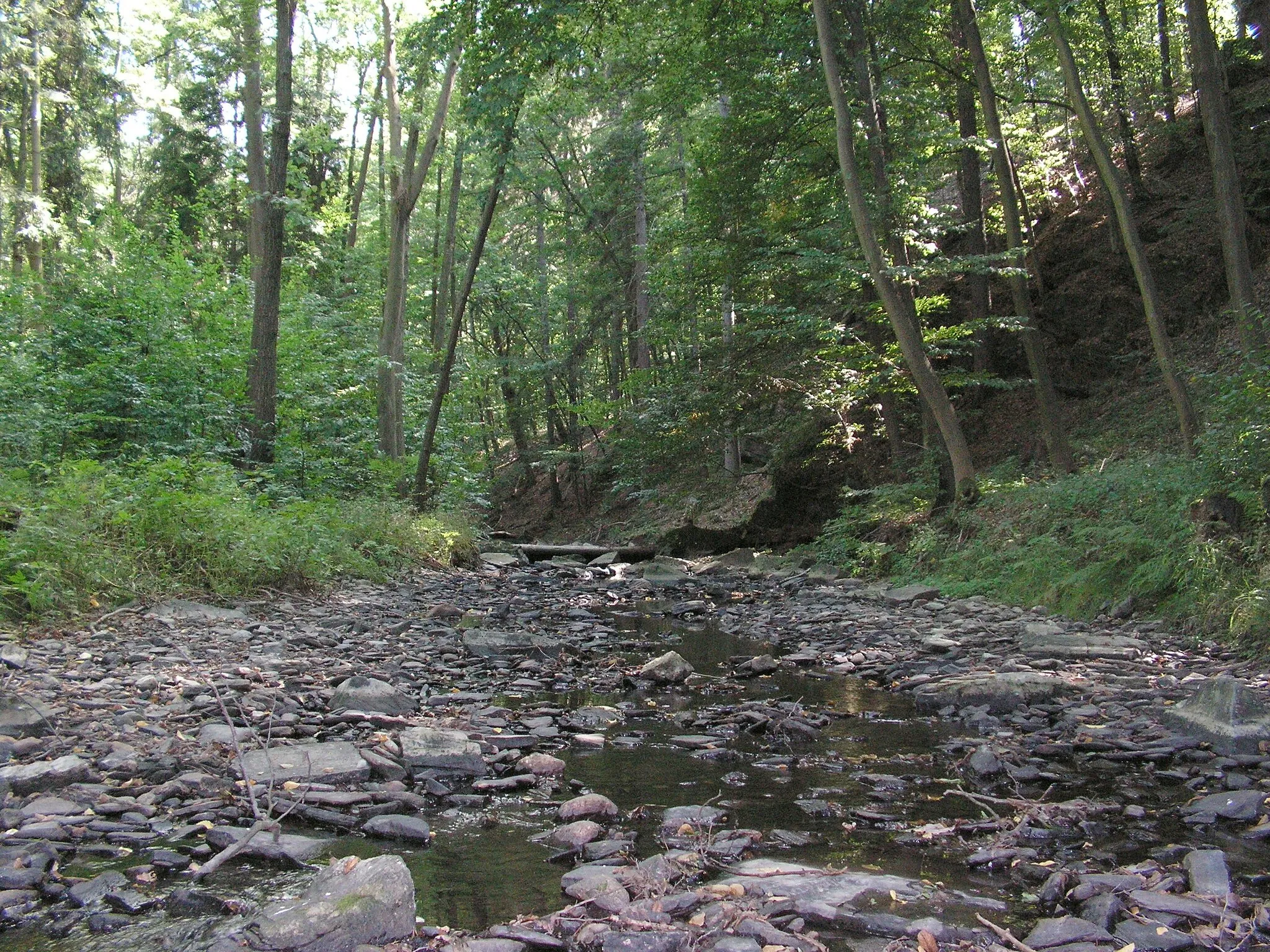 Photo showing: Klejnárka u vsi Chedrbí. V letních měsících nemívá mnoho vody.