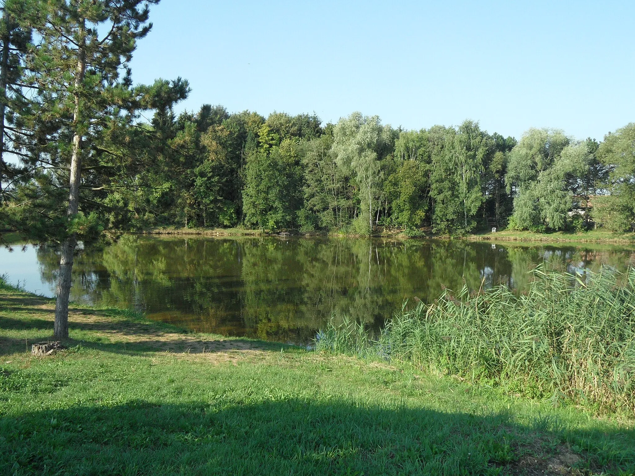 Photo showing: Kluky (okres Kutná Hora) E. Pond Bažantník, Next to South Edge of Chateau's Park. Kutná Hora District, the Czech Republic.