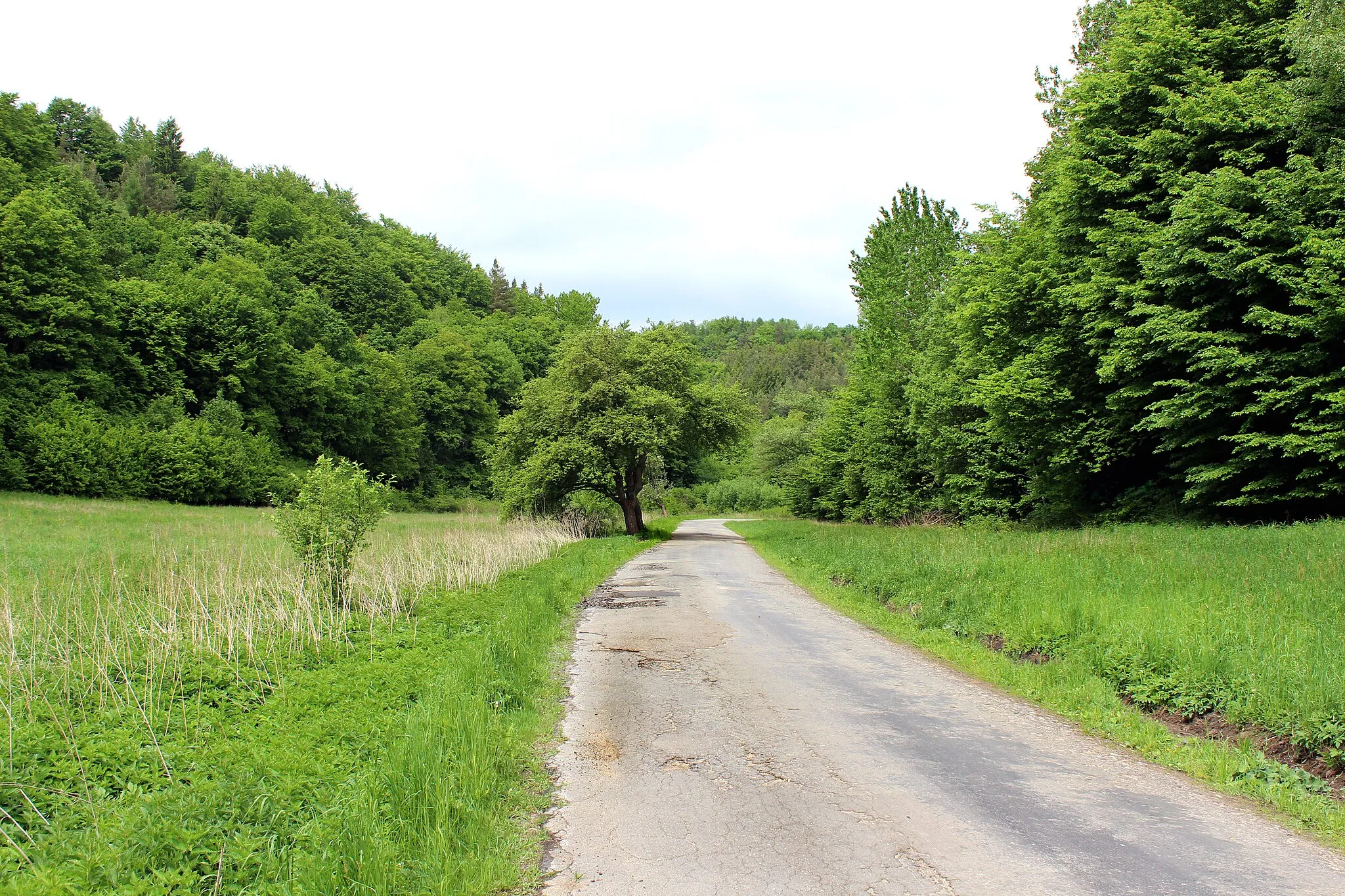 Photo showing: Landscape by Vidim and Osinalice, Czech Republic