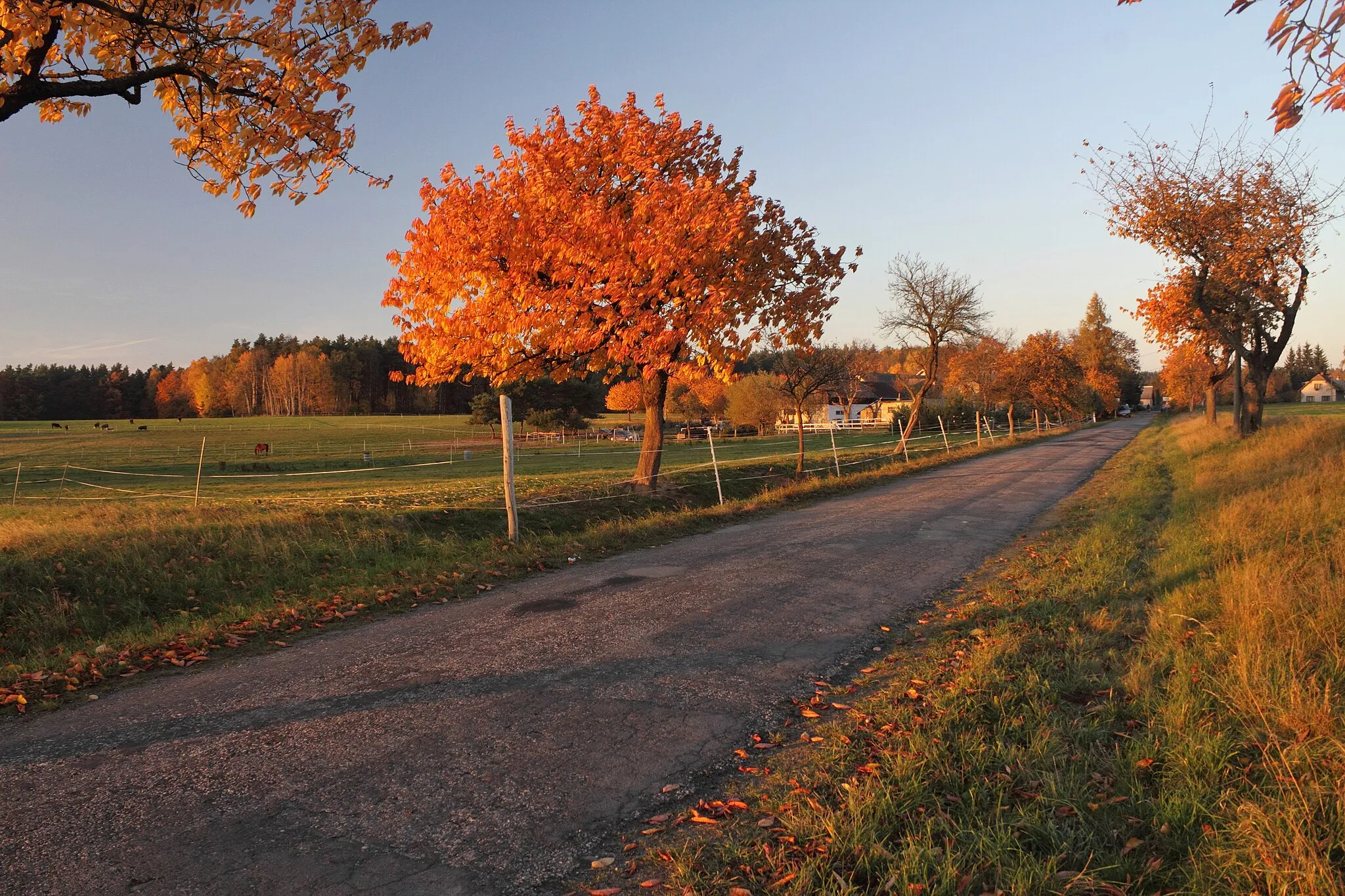 Photo showing: Buda, Chocnějovice