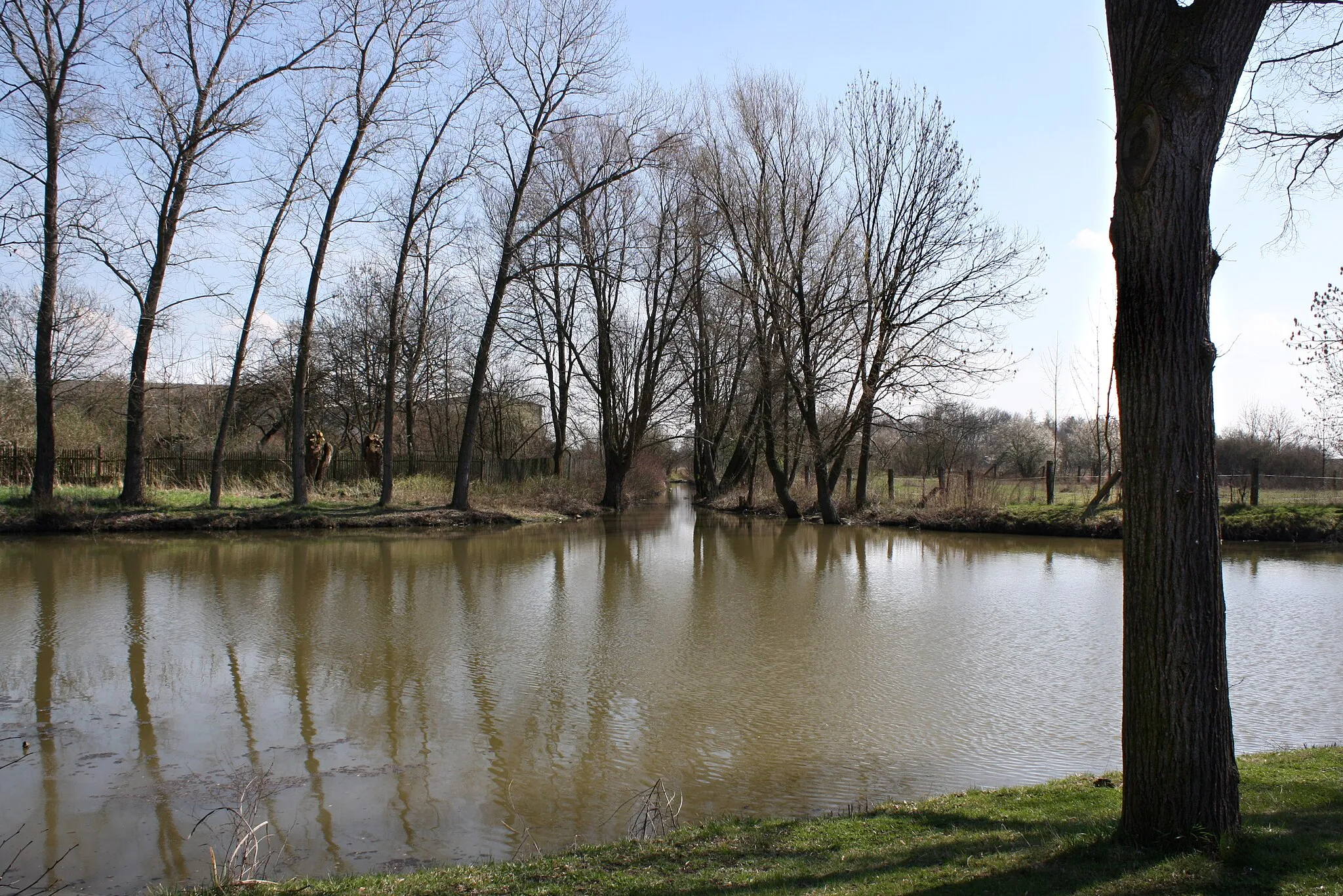 Photo showing: East pond in Záhornice, Czech Republic