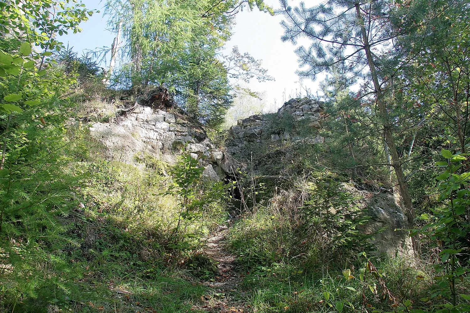 Photo showing: Ruine der Burg Karlsfried near Town Zittau in Sachsen, Germany
autor: Prazak

date: 22. 9. 2006