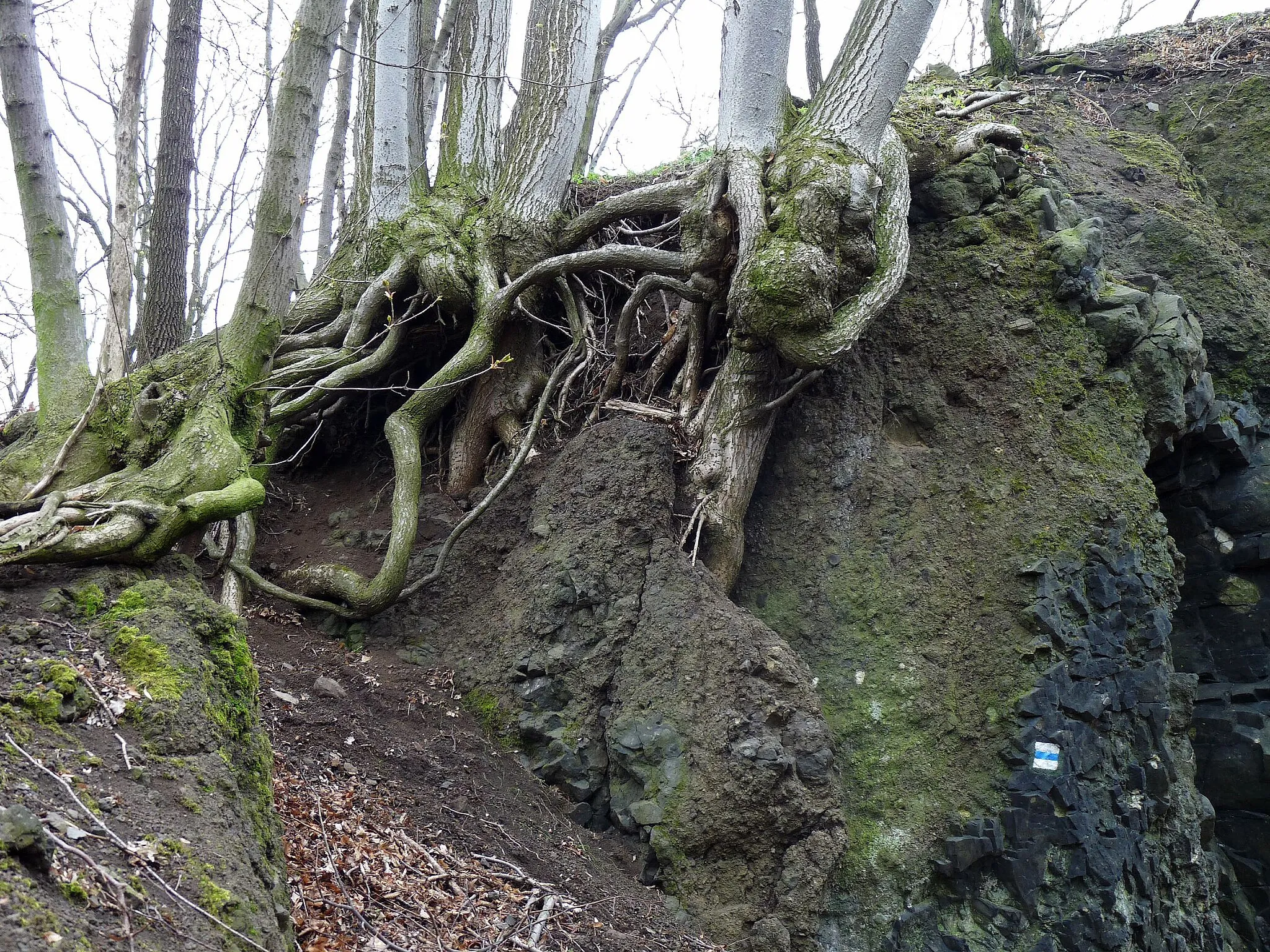 Photo showing: Natural reserve of Vrch Baba at the town of Kosmonosy, okres Mladá Boleslav District, Czech Republic.