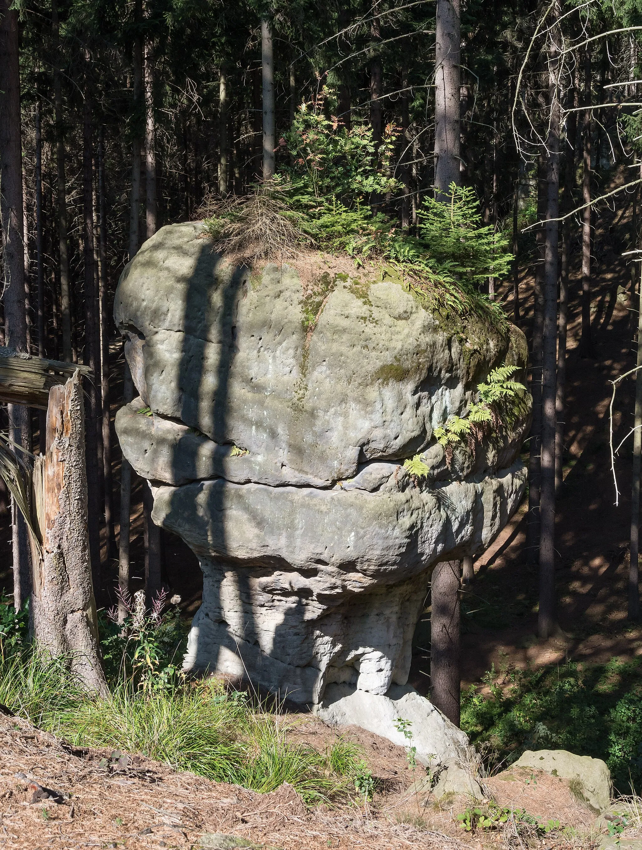 Photo showing: Nature reserve Głazy Krasnoludków