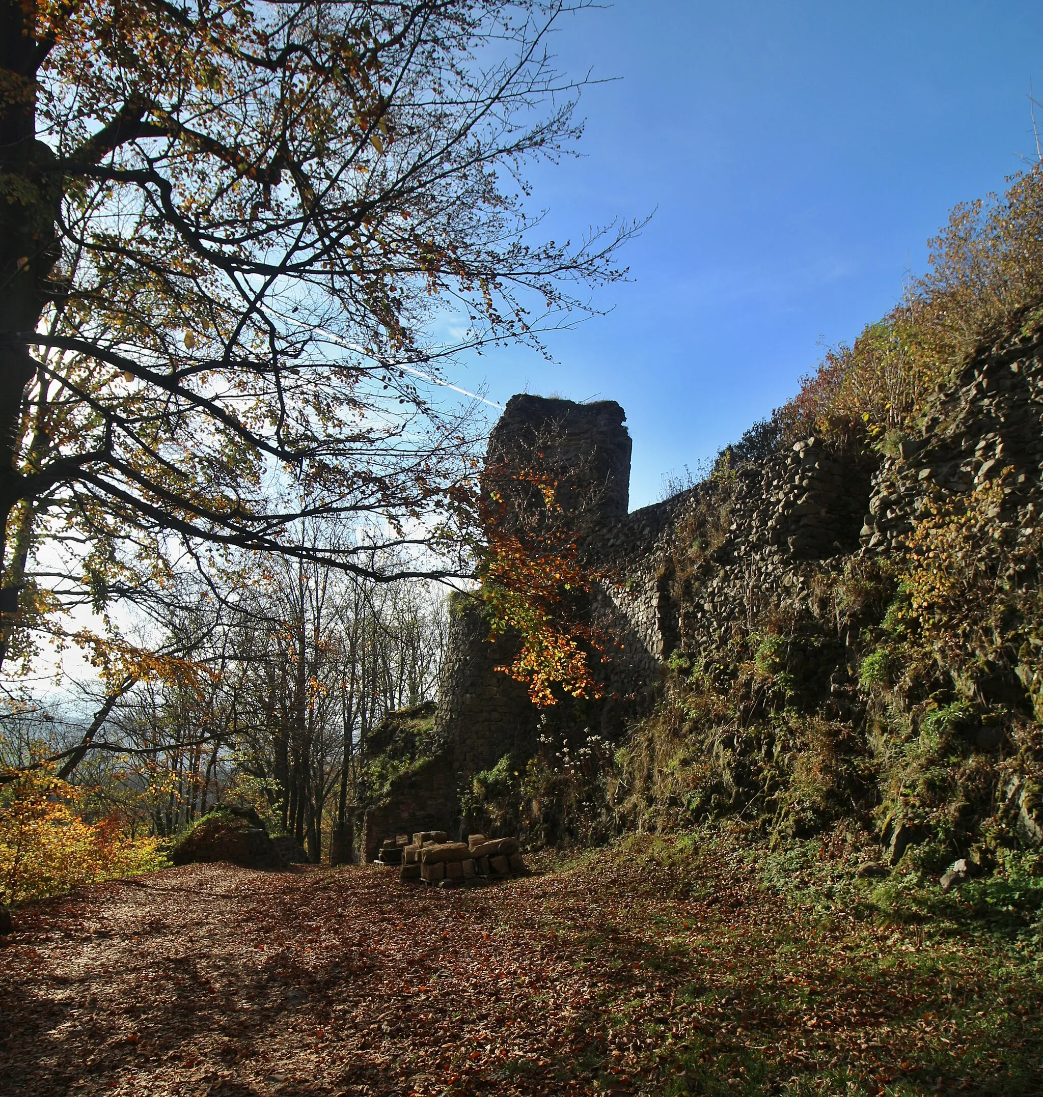 Photo showing: Hrad Kumburk