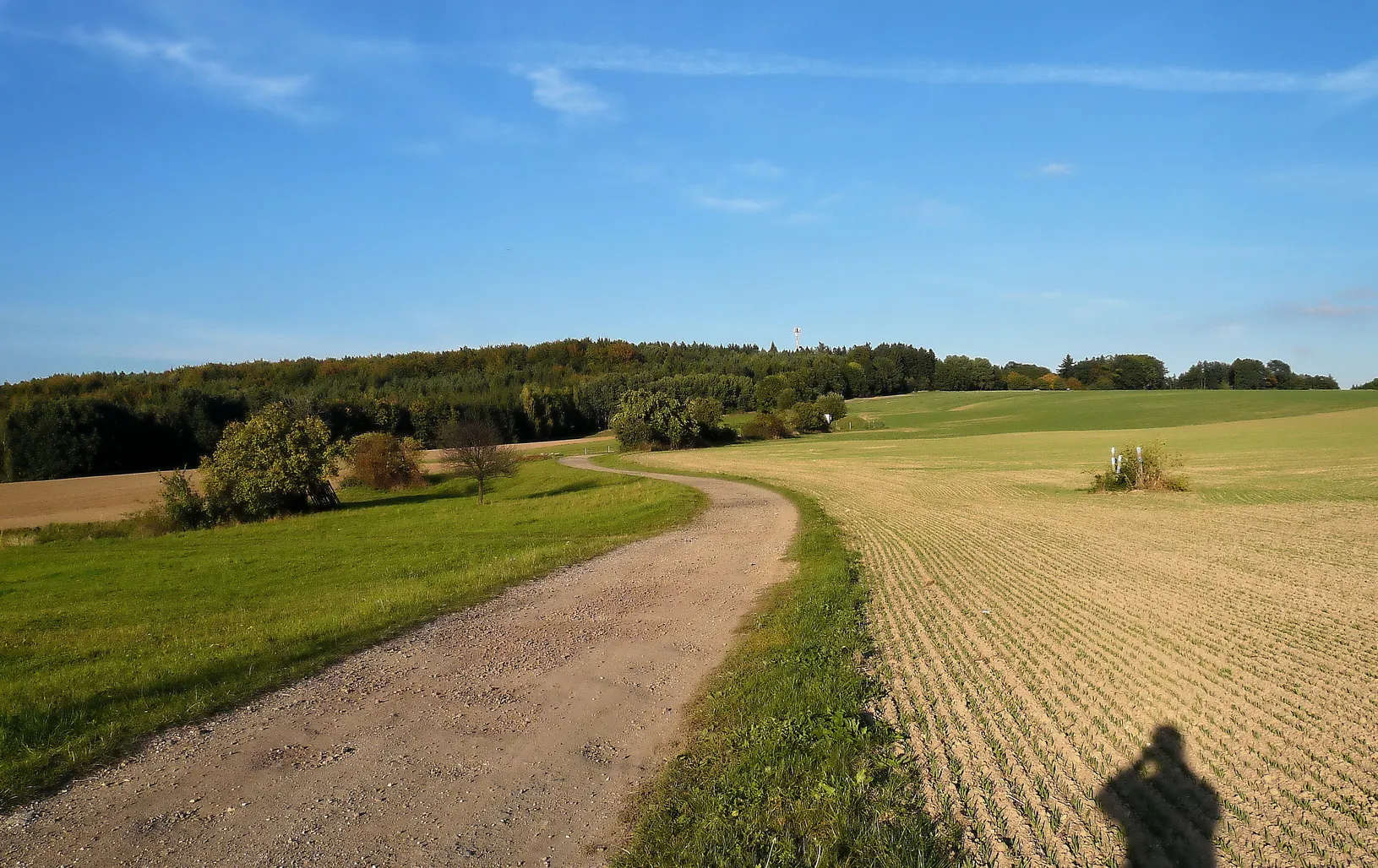 Photo showing: Cesta na Nepřívěckou hůru