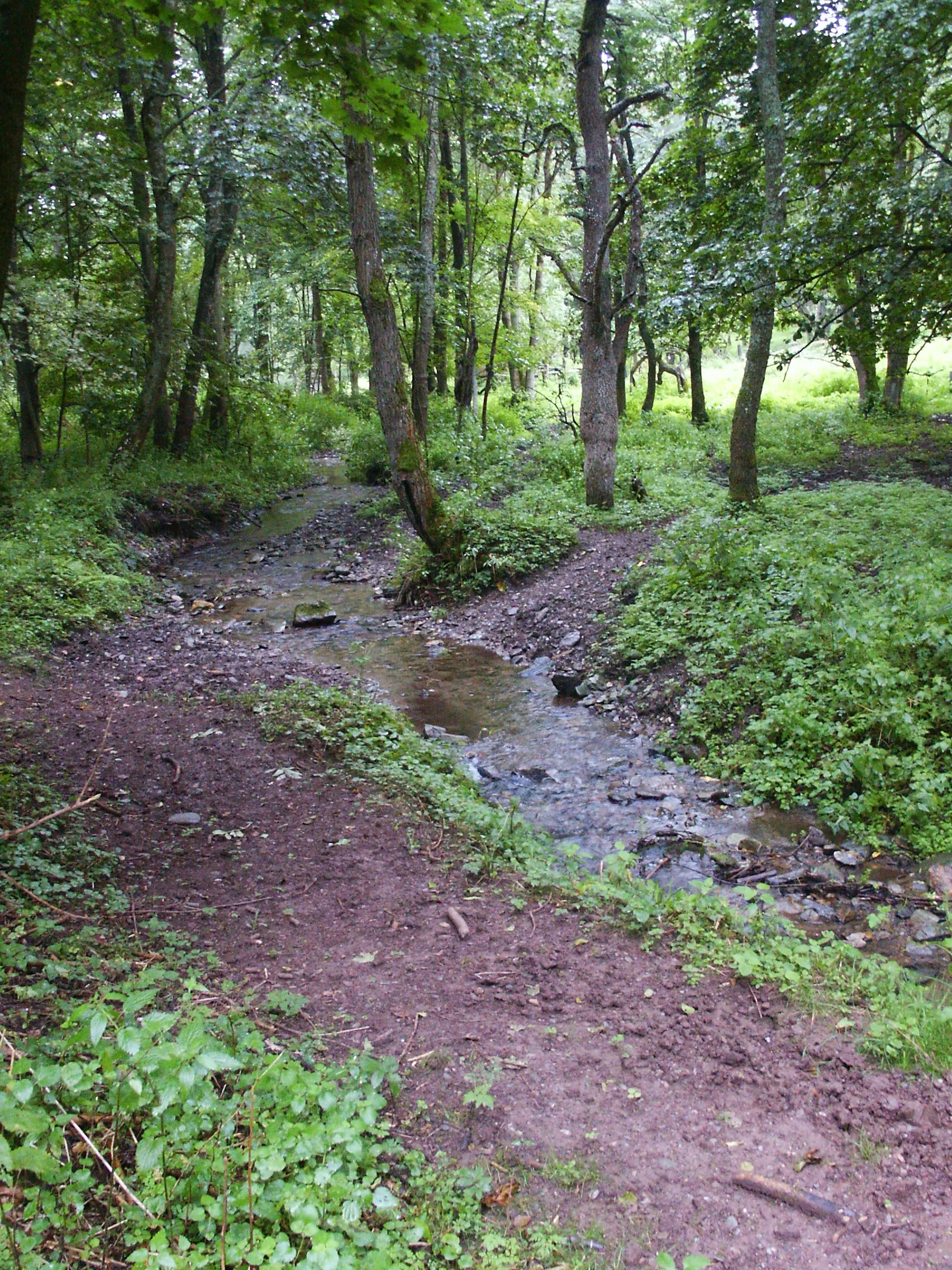 Photo showing: Zlatý potok (mezi Sklenářovicemi a Bystřicí)