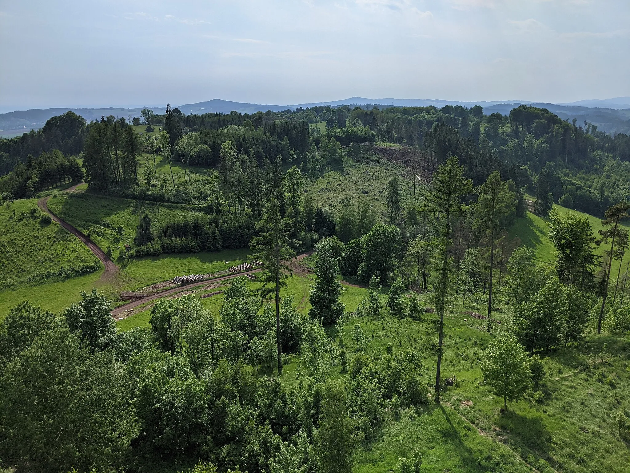 Photo showing: Kozinec - rozhledna u Vidochova - výhled k západu (vrch Kozinec, 608 m)