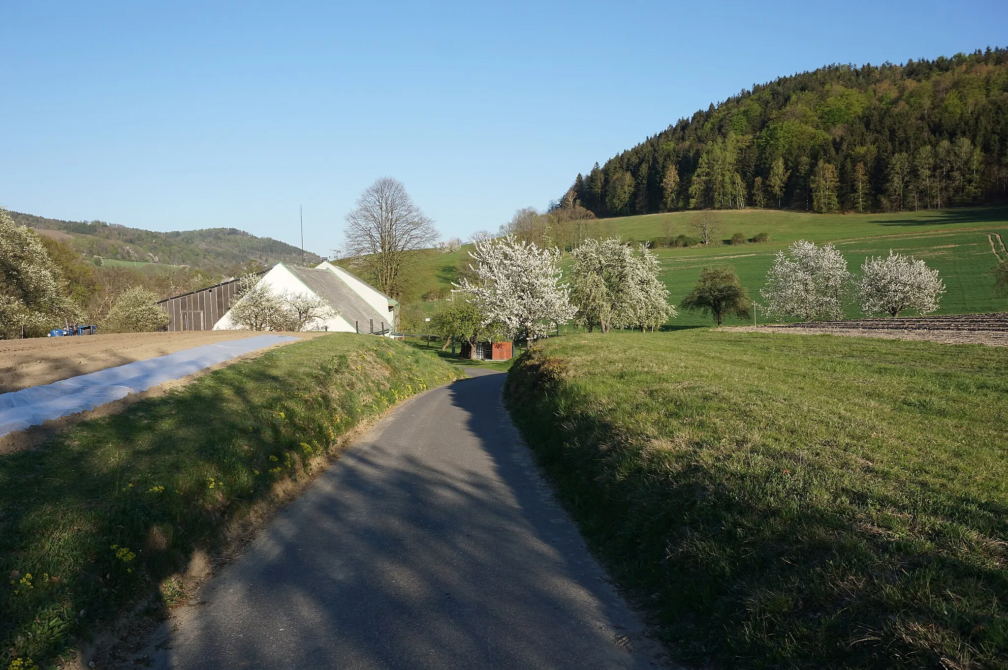 Photo showing: Bezděčín (u Frýdštejna) - celkový pohled od západu, z cesty do Luhů, v popředí čp. 1, vpravo svahy vrchu Zabolky