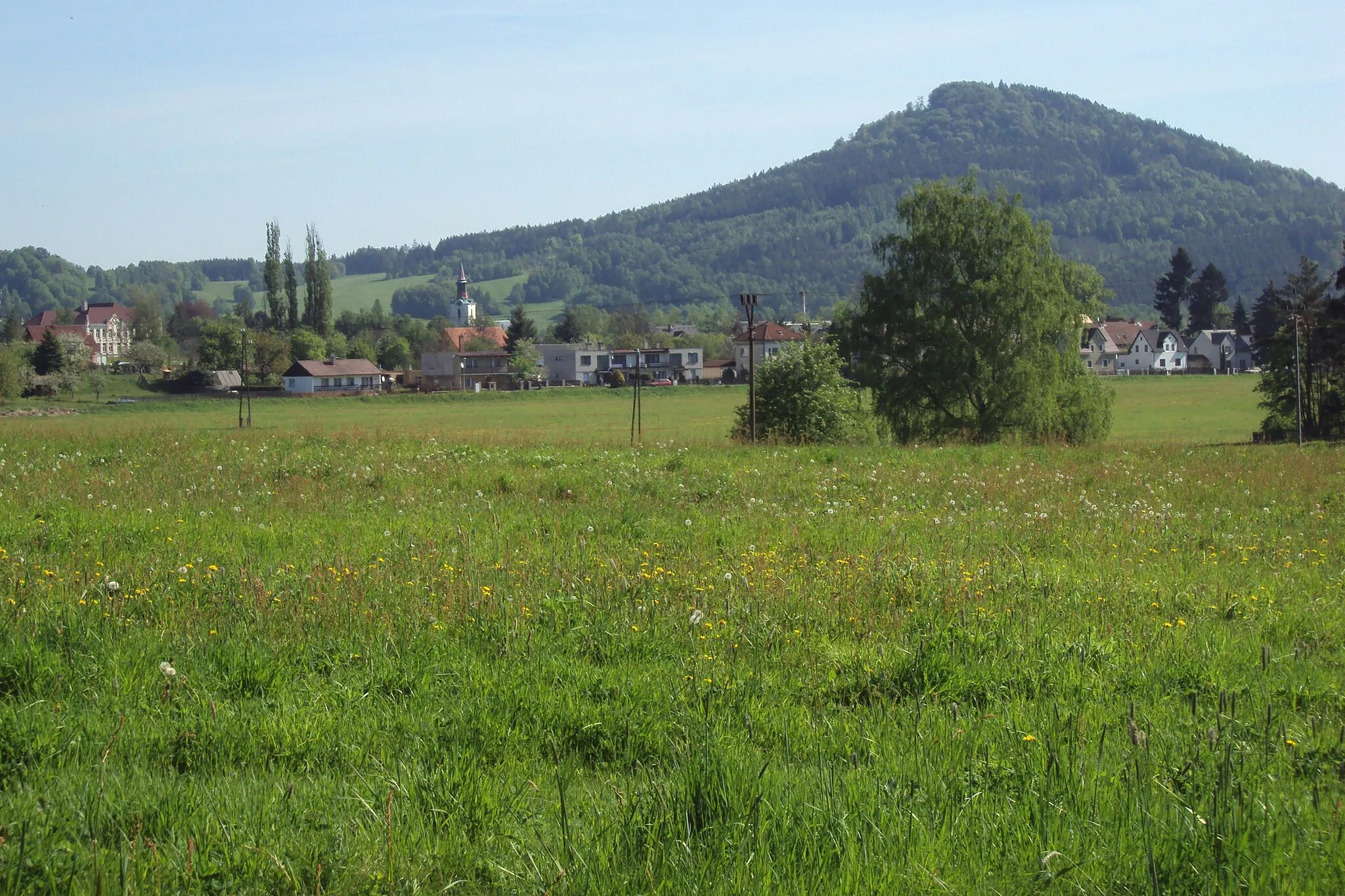 Photo showing: Cvikov, v pozadí Zelený vrch, foceno z žluté trasy od jihu