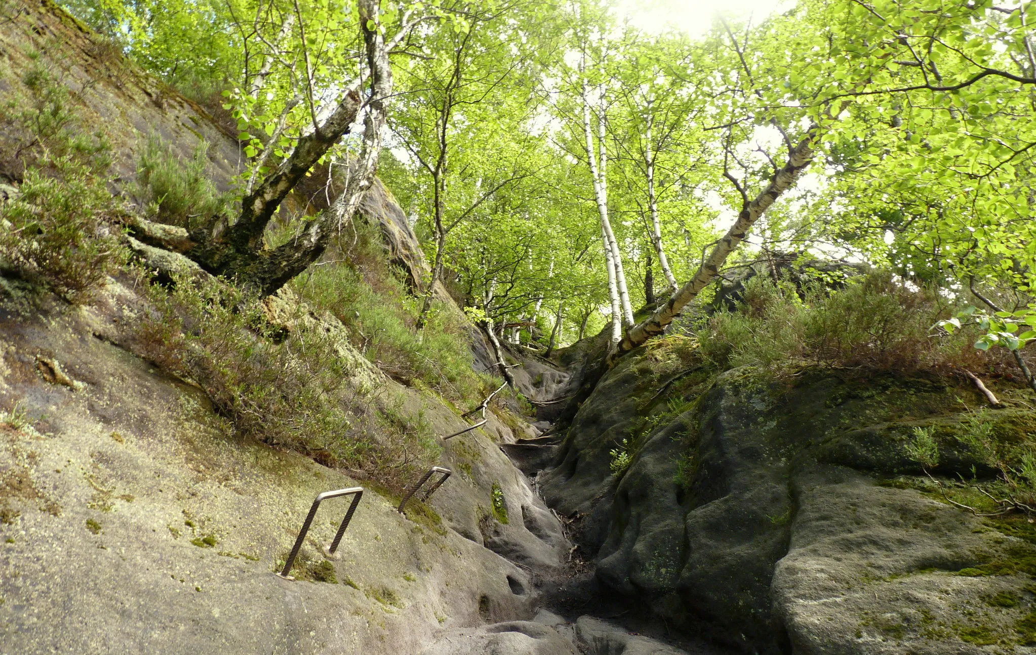 Photo showing: Rotkehlchenstiege - Elbsandsteingebirge