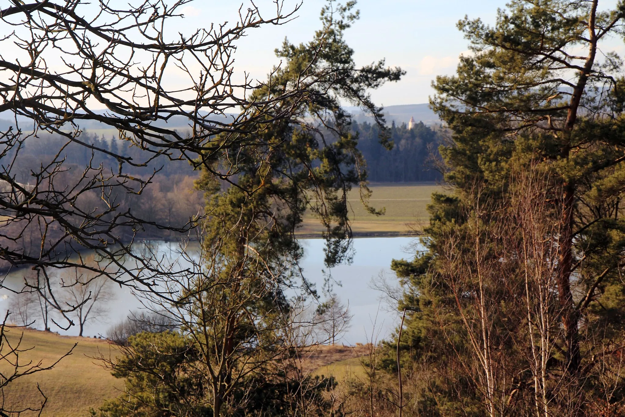 Photo showing: Forest and pond Byšička in natural memorial Byšičky near of Lázně Bělohrad, Czech Republic