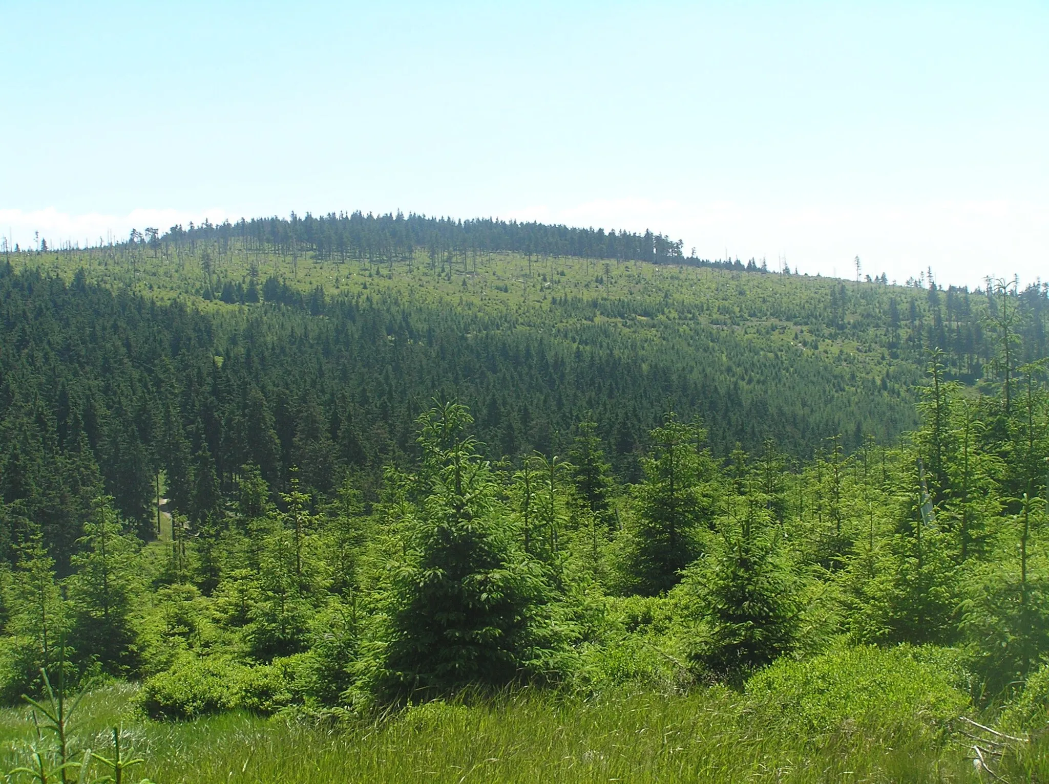 Photo showing: Souš, Králický Sněžník Mountains, Czech Republic