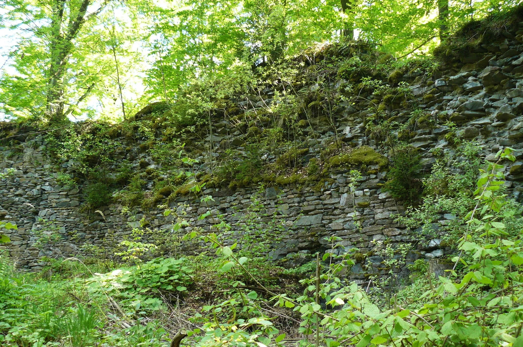 Photo showing: Ruine Burg Schnallenstein (14./15. Jh.) bei Seitendorf (Gniewoszów), Habelschwerdter Gebirge, Niederschlesien, Polen.