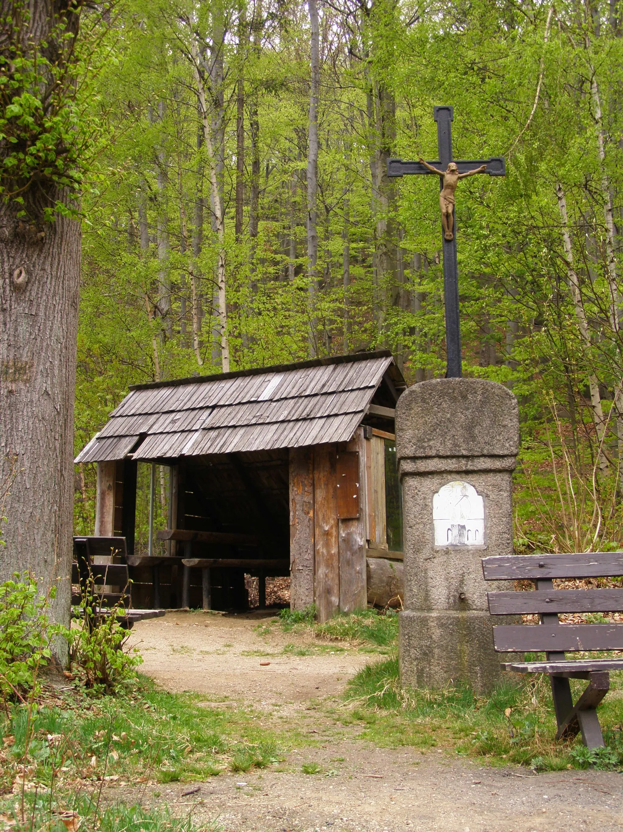 Photo showing: Oldřichovská vrchovina, NPR Jizerskohorské bučiny, kříž v Oldřichovském sedle