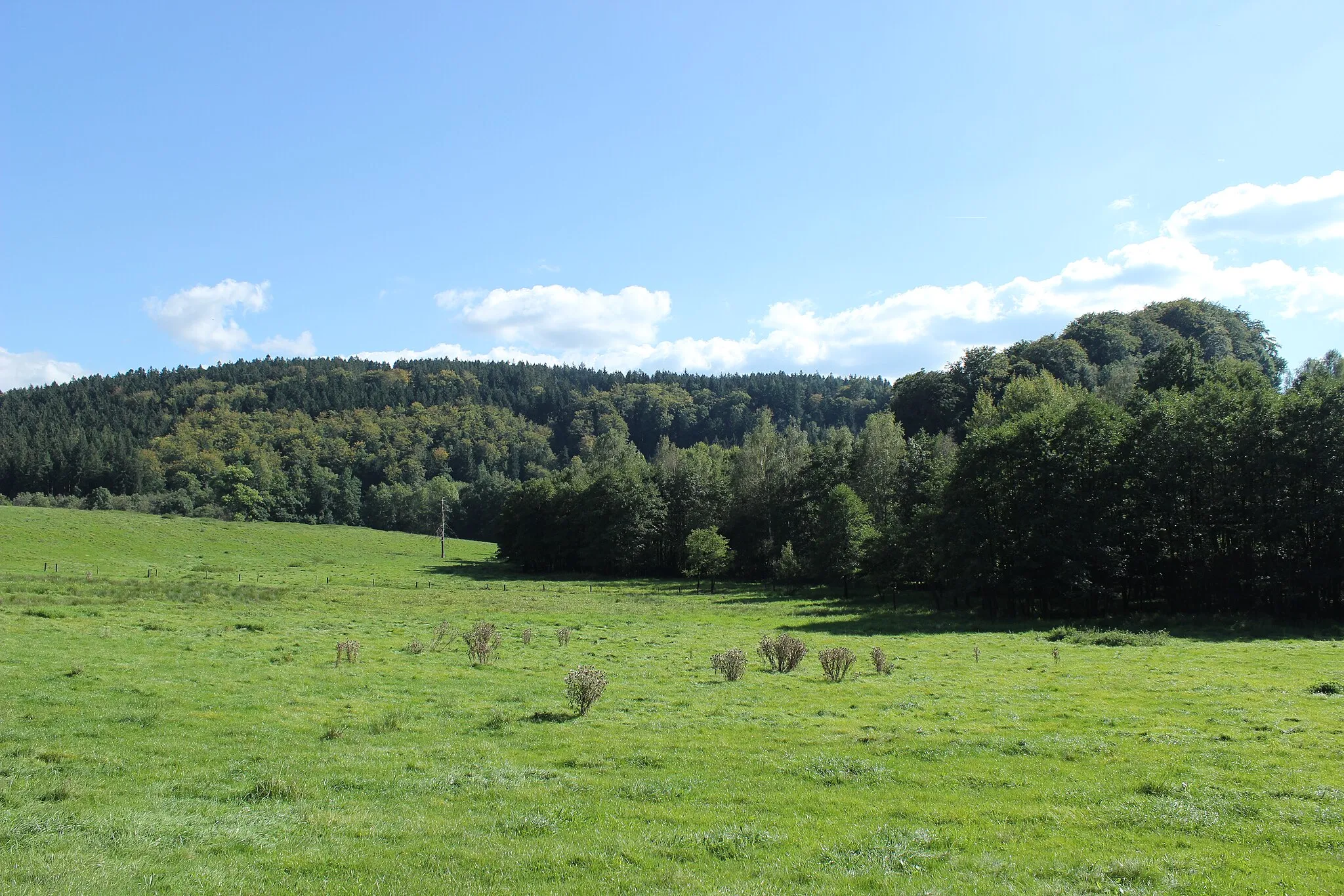 Photo showing: Pekelský vrch při pohledu z Pekla, části Raspenavy.