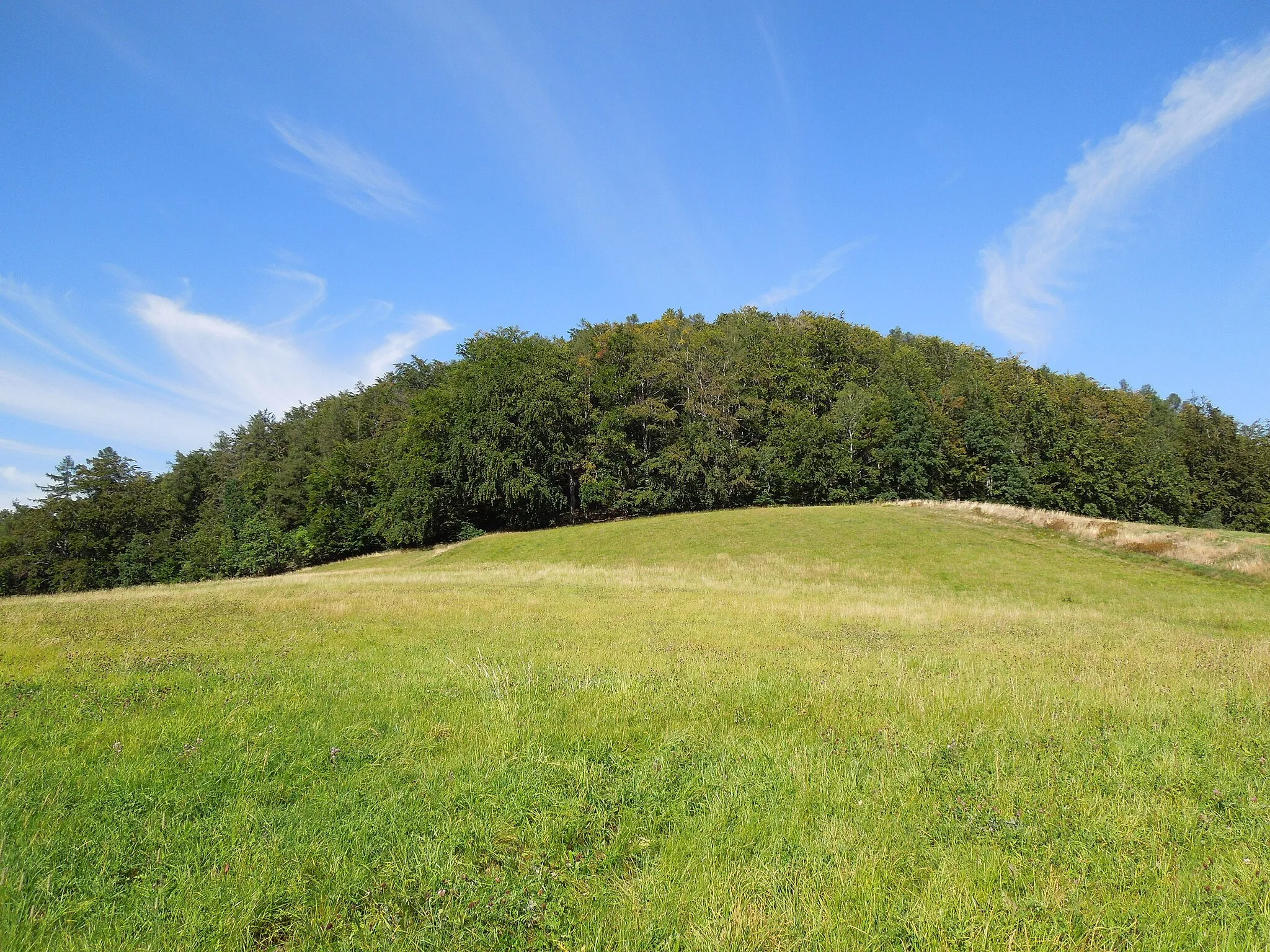 Photo showing: Butterberg bei Waltersdorf