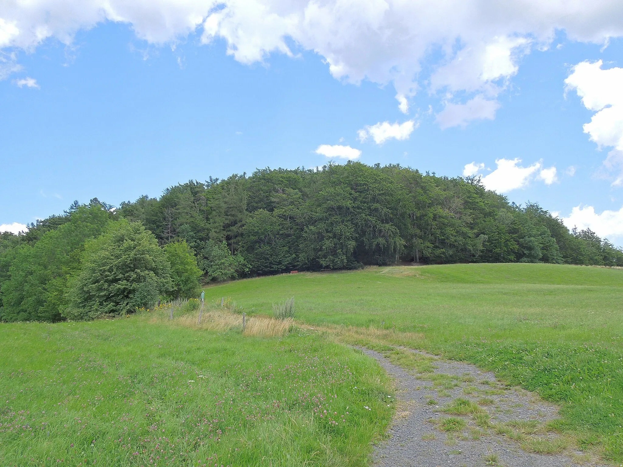 Photo showing: Im Landschaftsschutzgebiet Zittauer Gebirge: Blick auf die Südseite des Butterberges in Waltersdorf