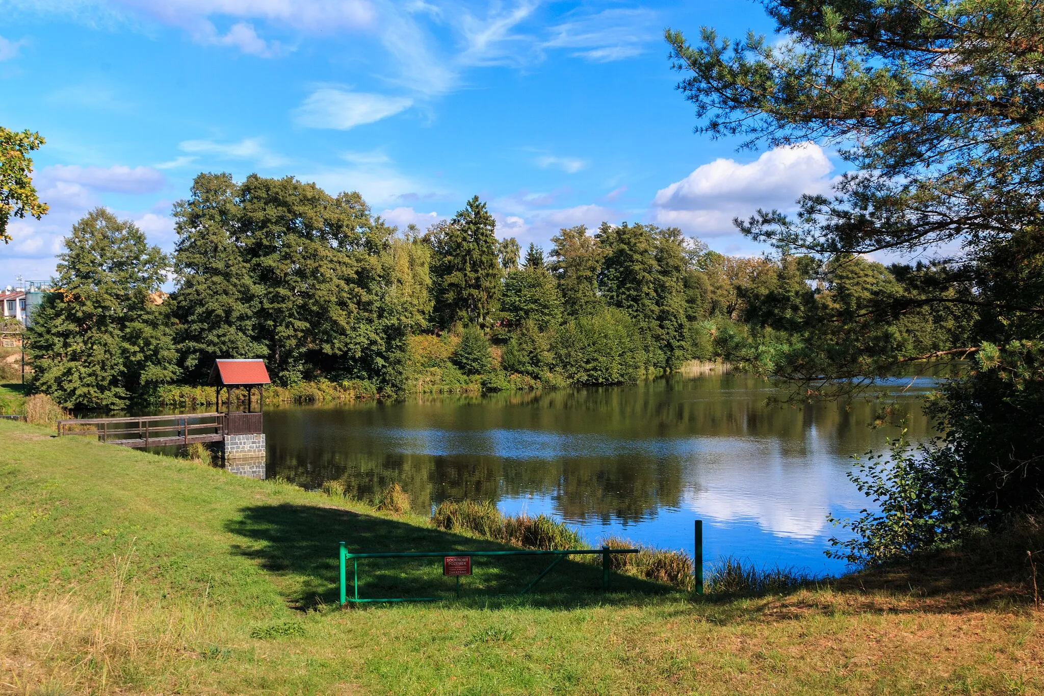 Photo showing: Dolní Hvězdovský rybník