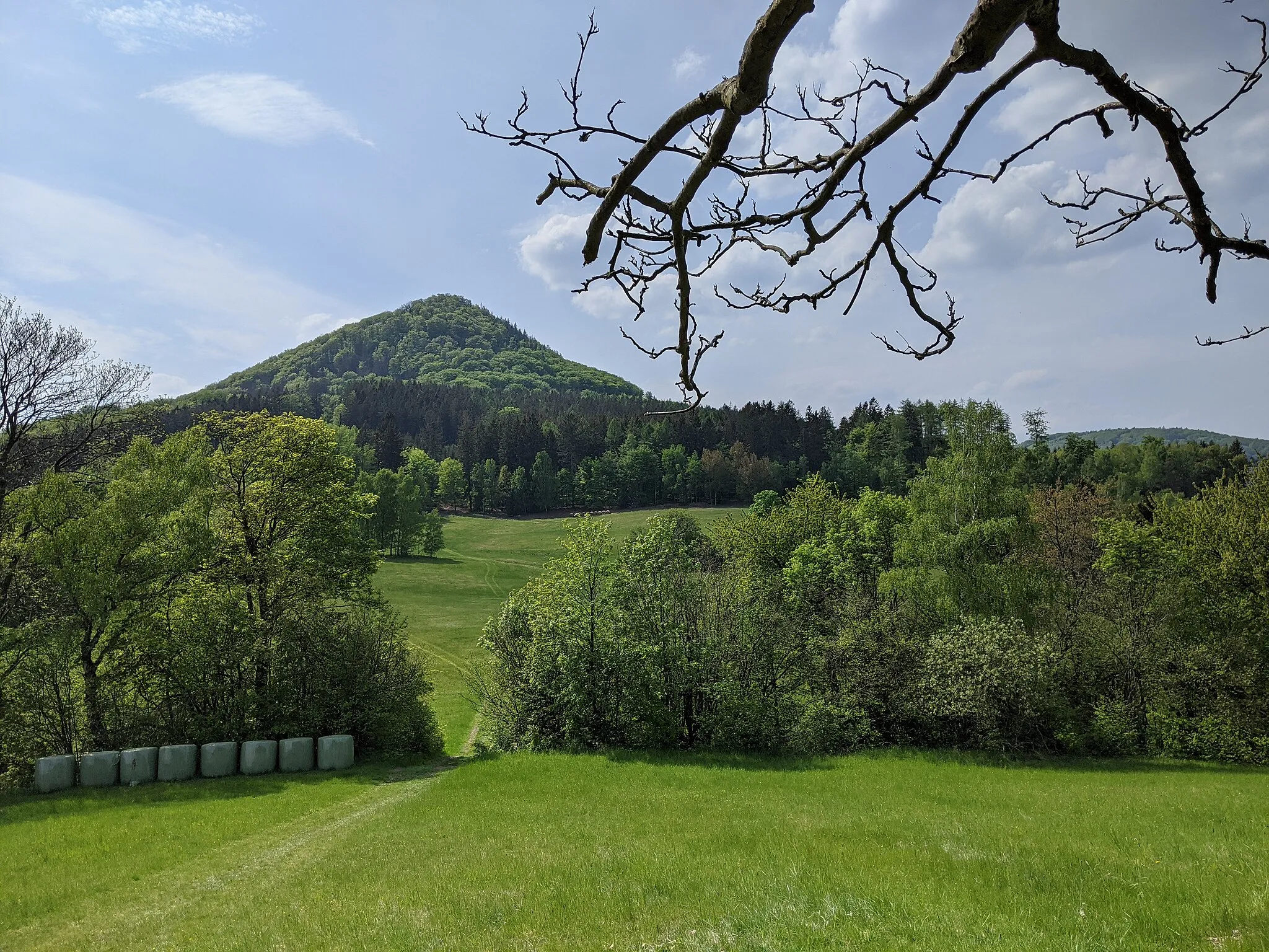 Photo showing: Klíč (Kleis) - pohled na vrch s přírodní rezervací z okraje lesa na kopci Sokolík nad Svorem