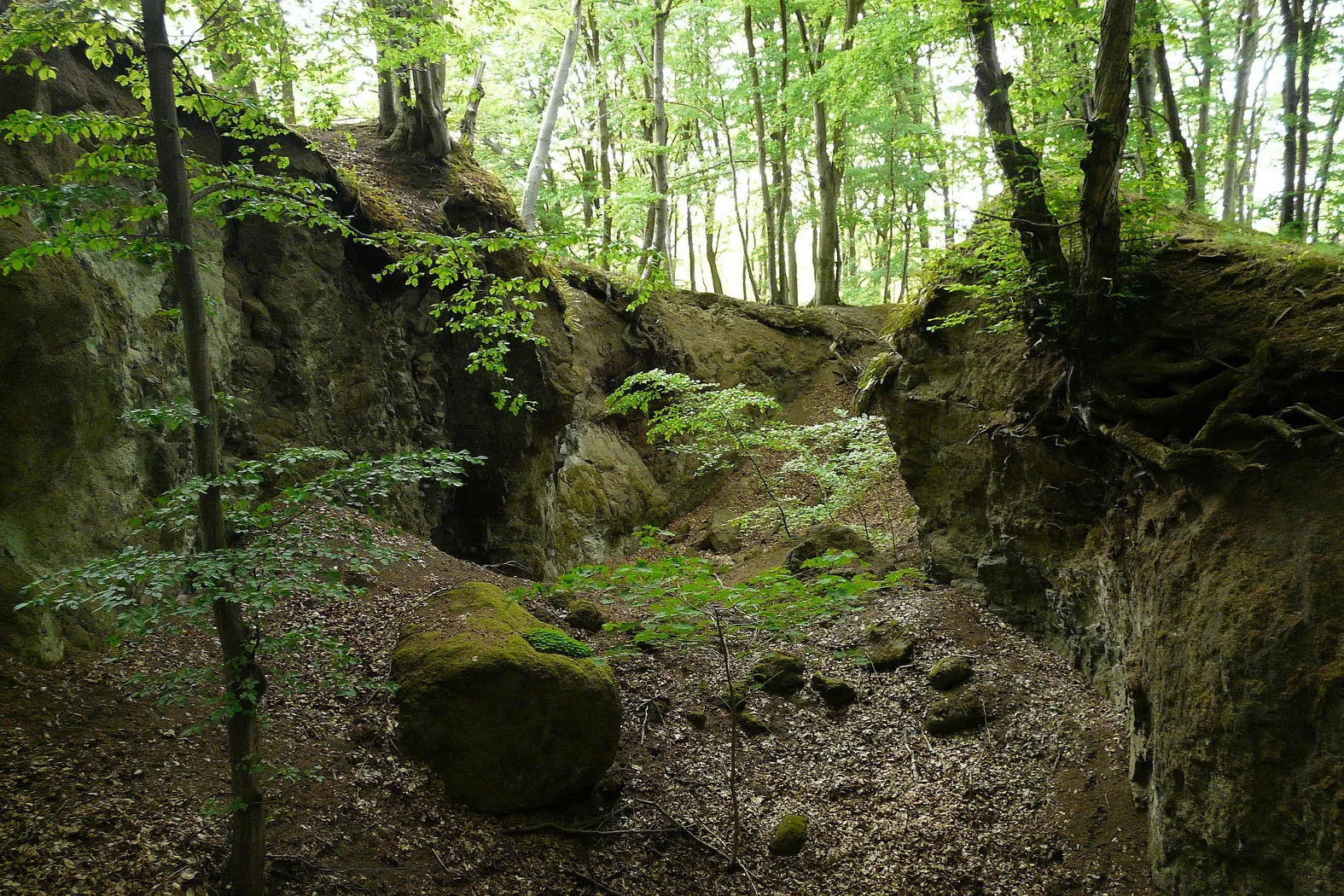 Photo showing: Starý lom čediče na Jezovské hoře