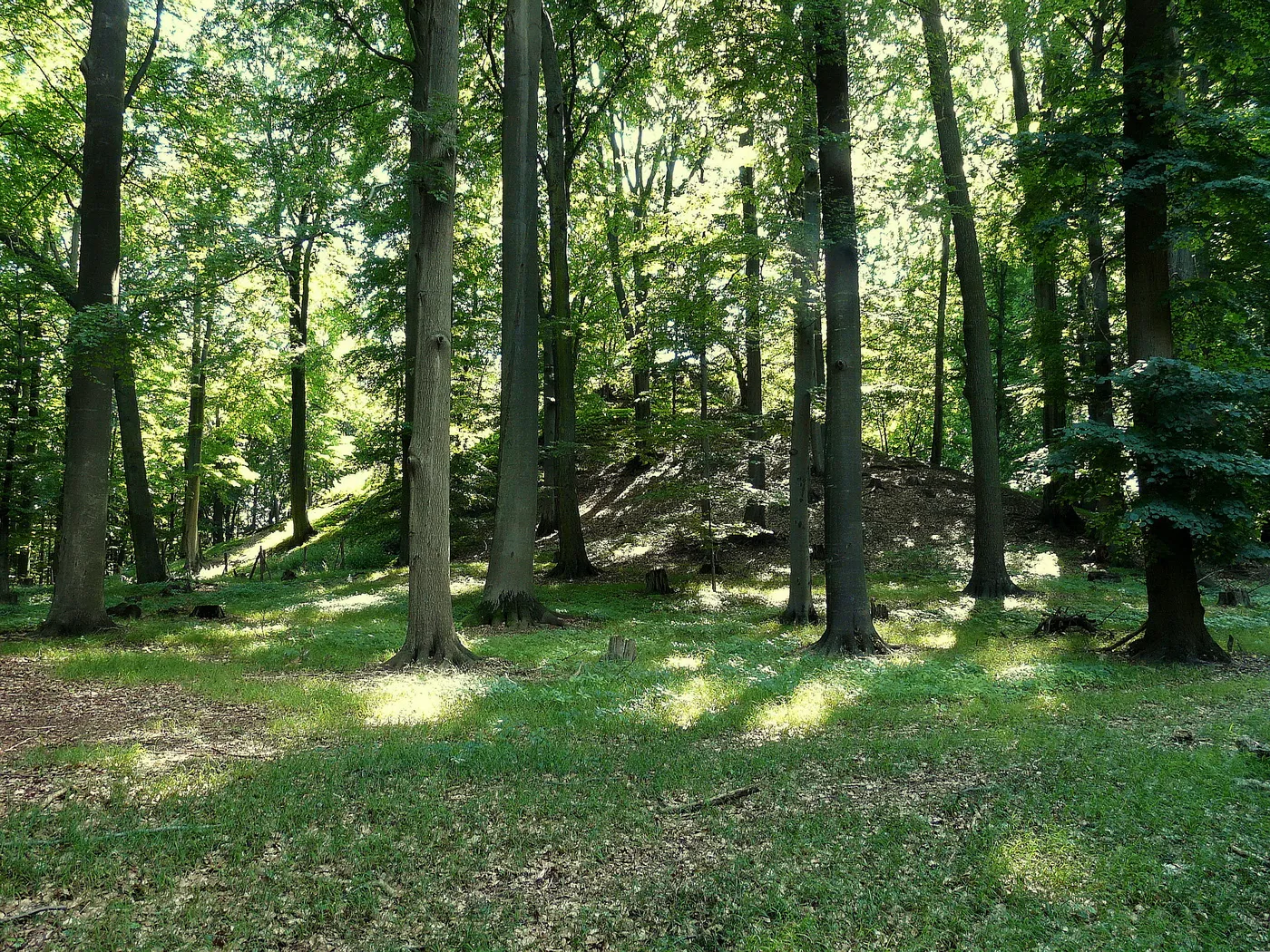 Photo showing: Southern peak of Radechov